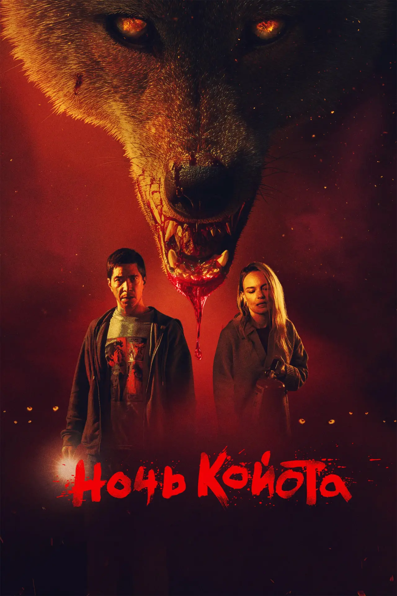 Постер к фильму "Ночь койота"