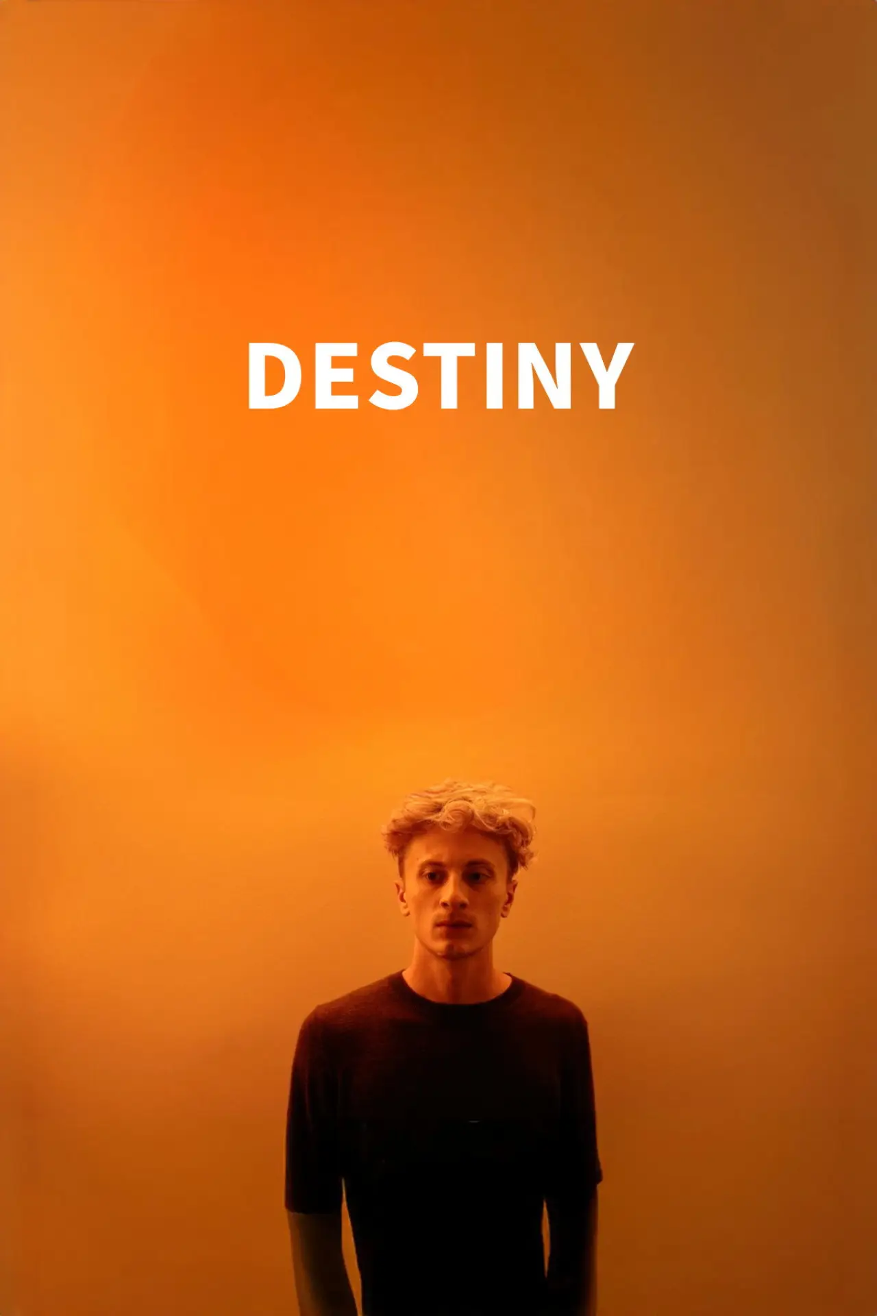 Постер к фильму "Destiny"