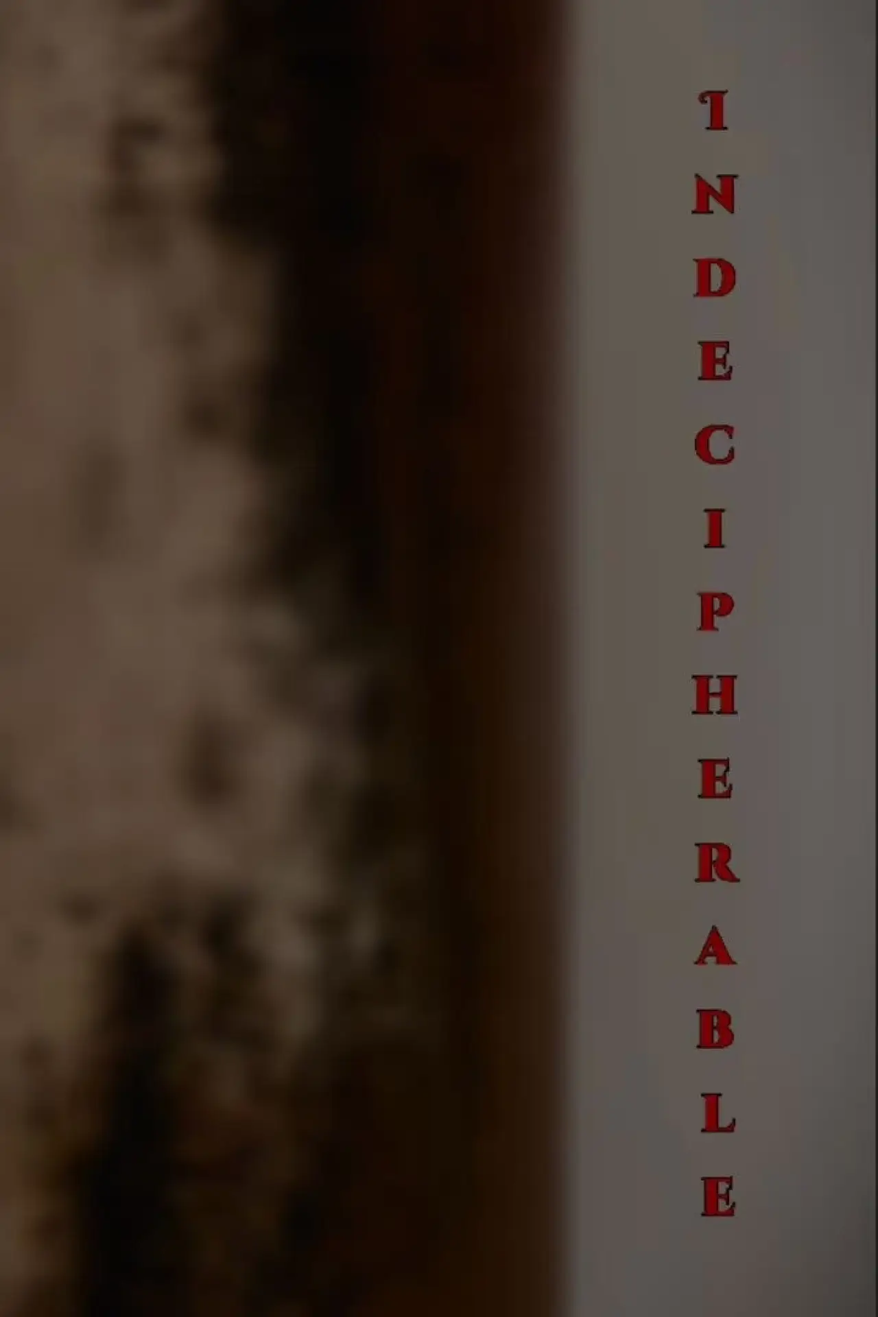 Постер к фильму "Indecipherable"