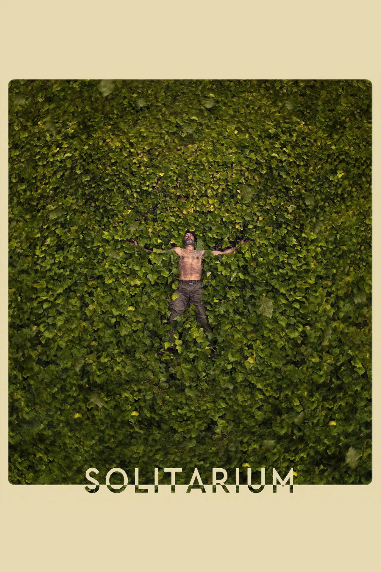 Постер к фильму "Solitarium"