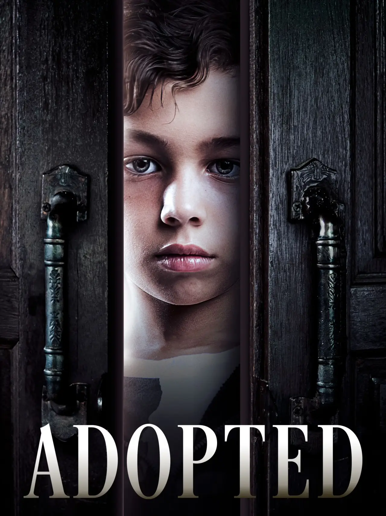 Постер к фильму "Adopted"