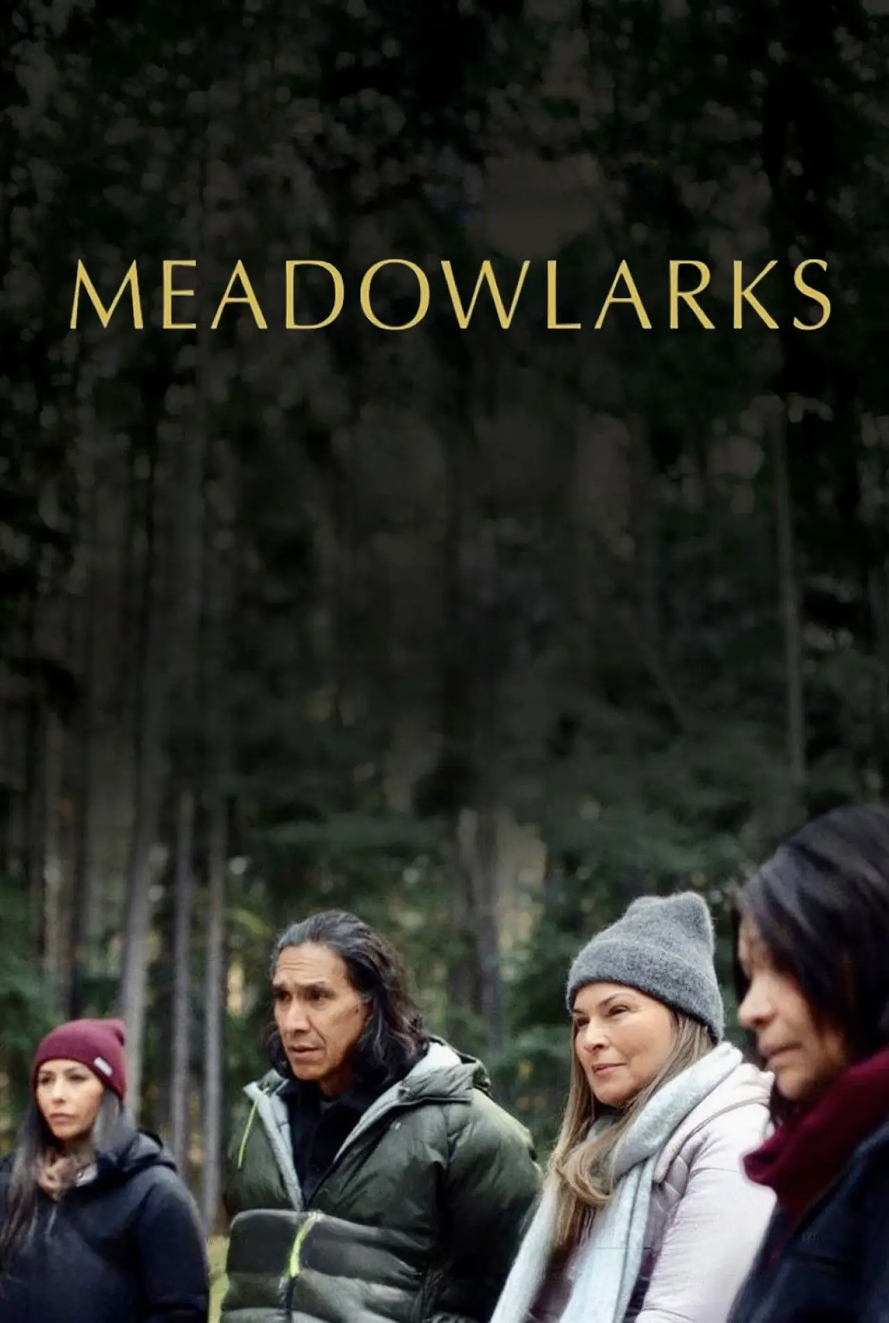 Постер к фильму "Meadowlarks"