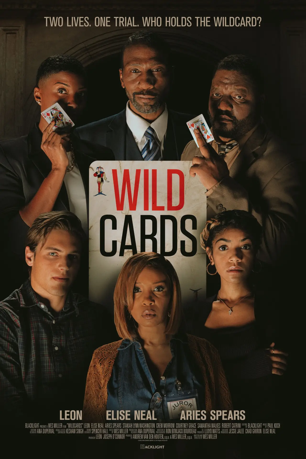 Постер к фильму "Wildcards"