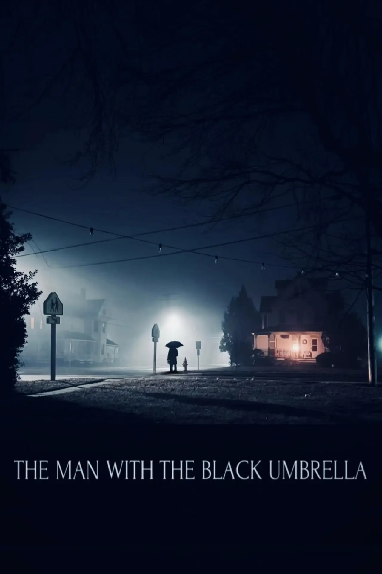 Постер к фильму "The Man with the Black Umbrella"