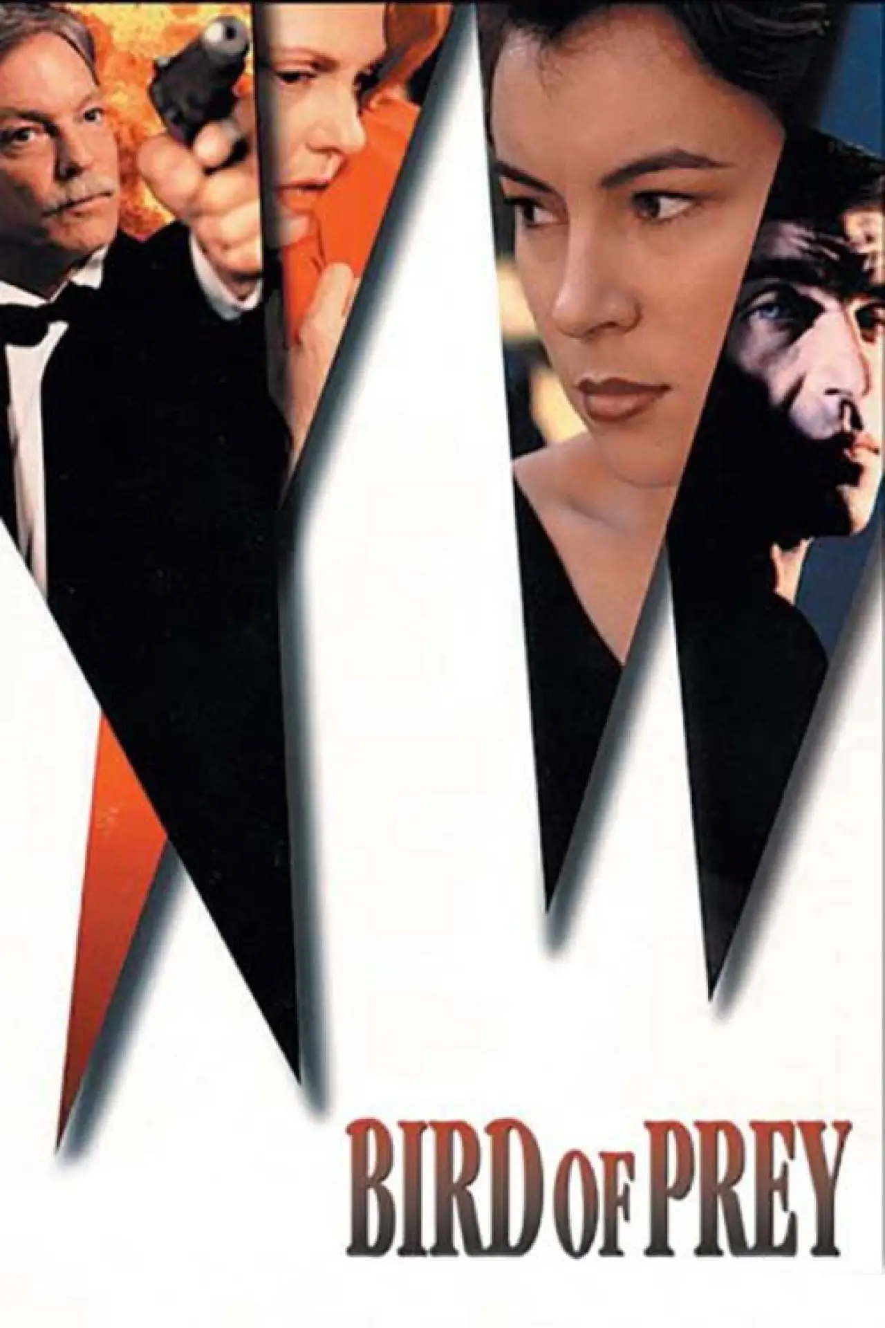 Постер к фильму "Bird of Prey"