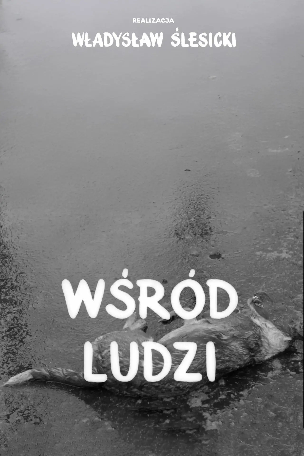 Постер к фильму "Wśród ludzi"