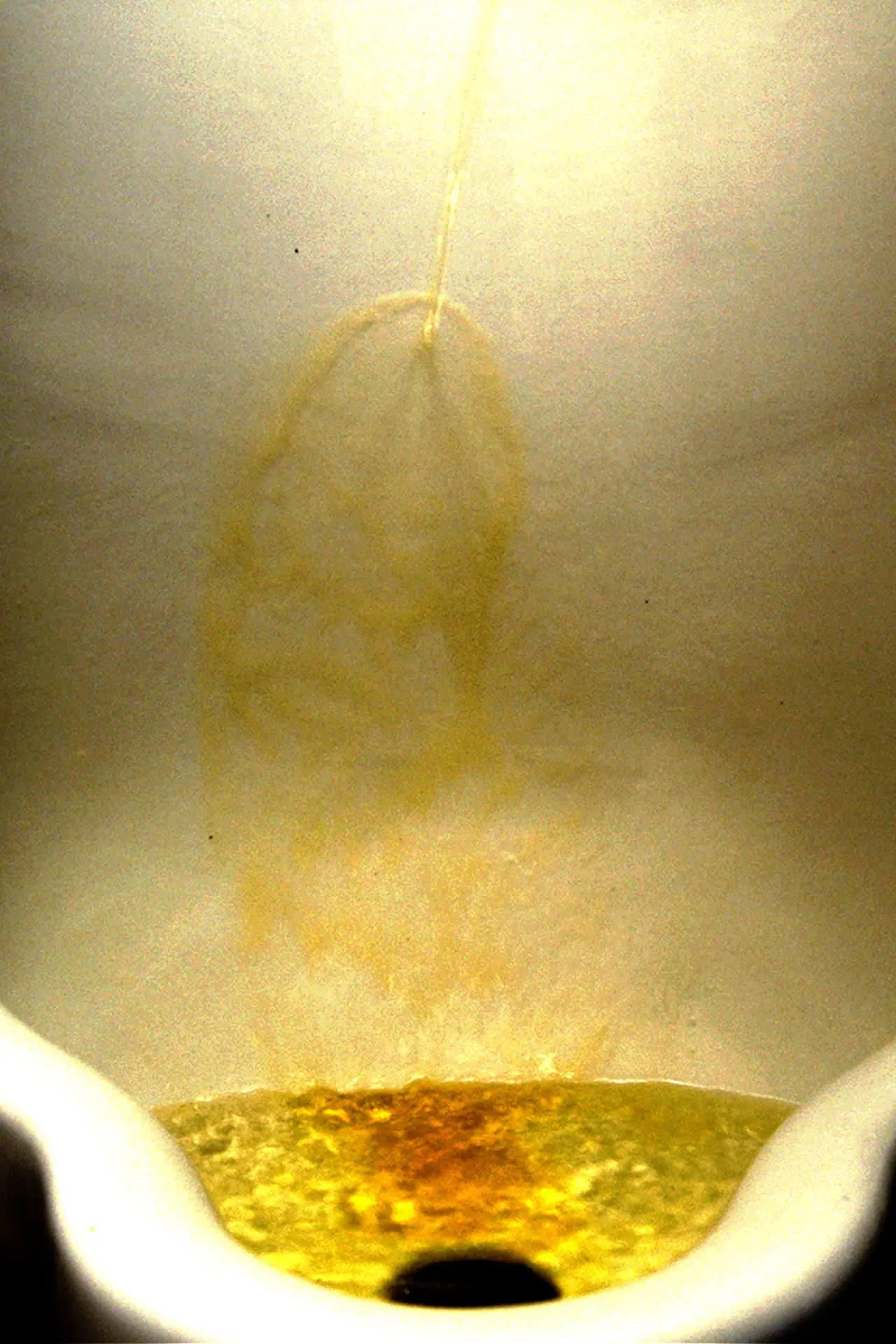 Постер к фильму "Piss"