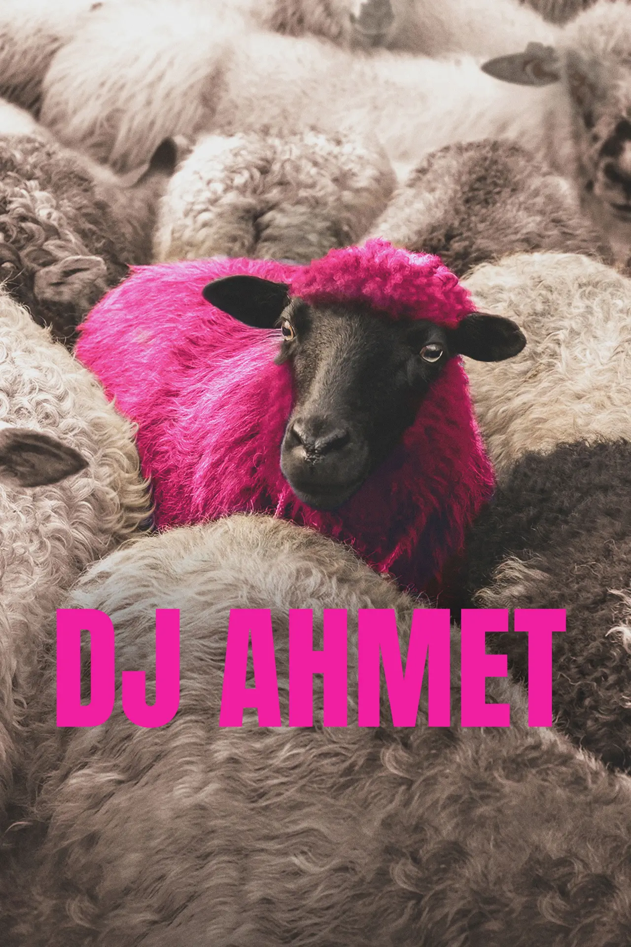 Постер к фильму "Диджей Ахмет"