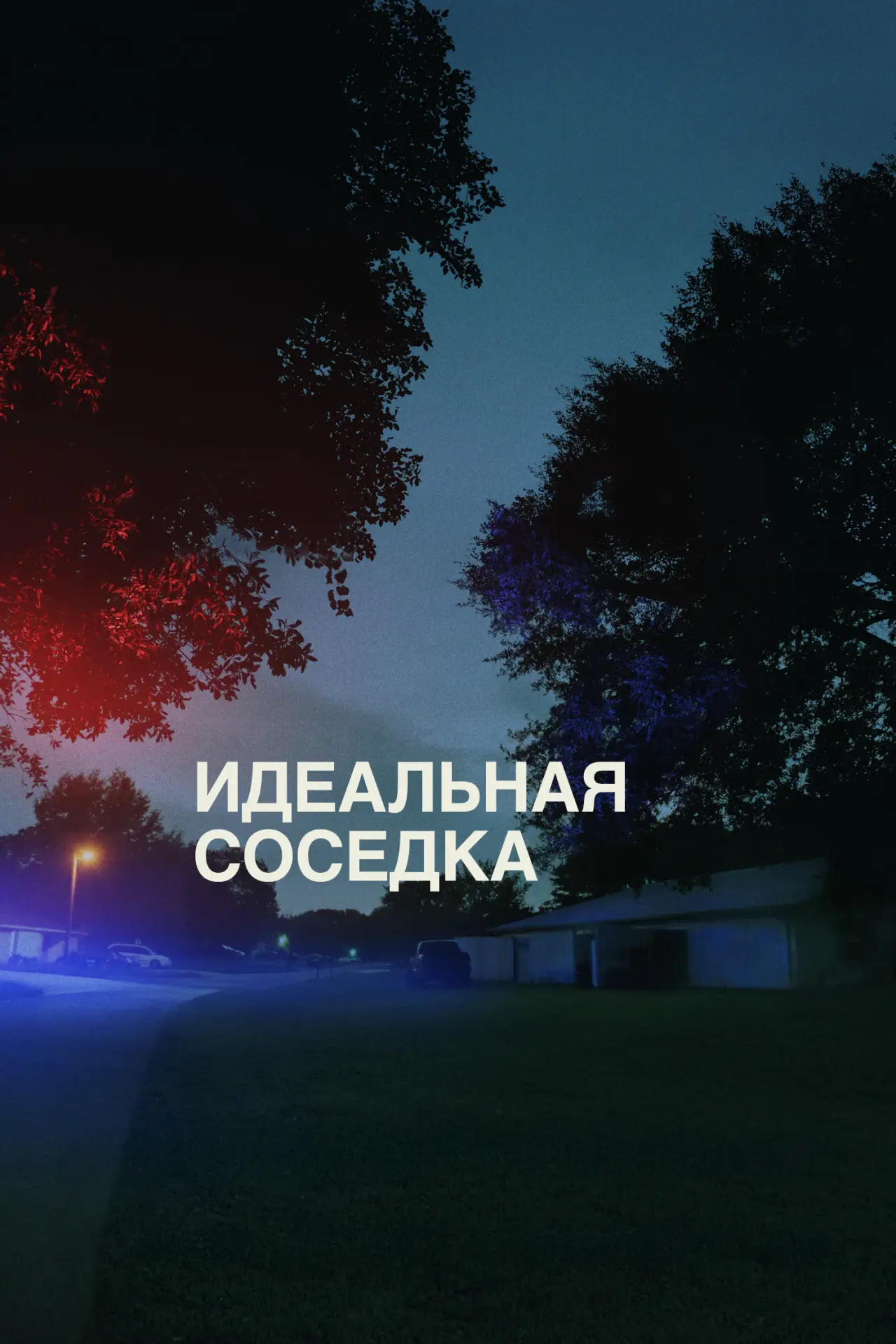 Постер к фильму "Идеальная соседка"