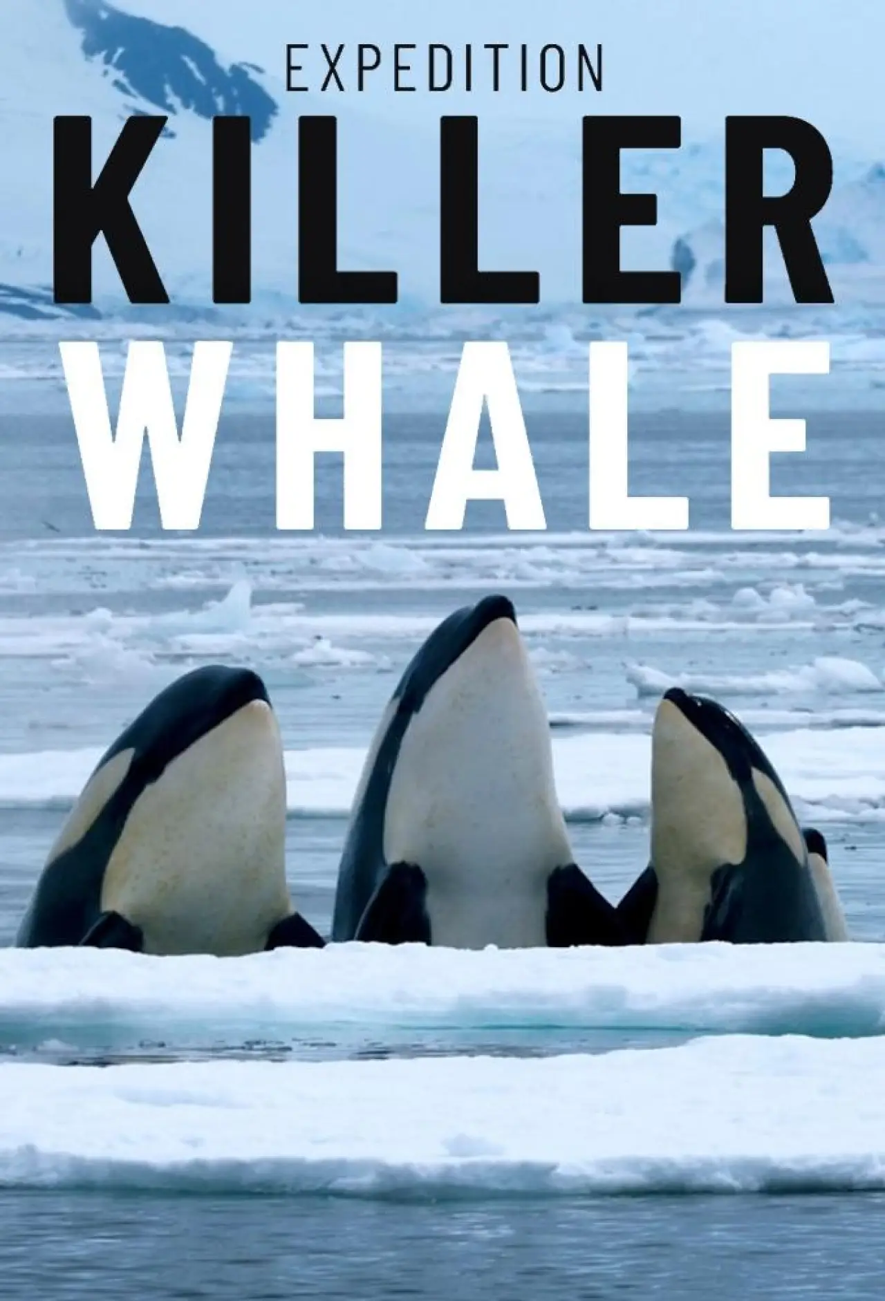 Постер к фильму "Expedition Killer Whale"
