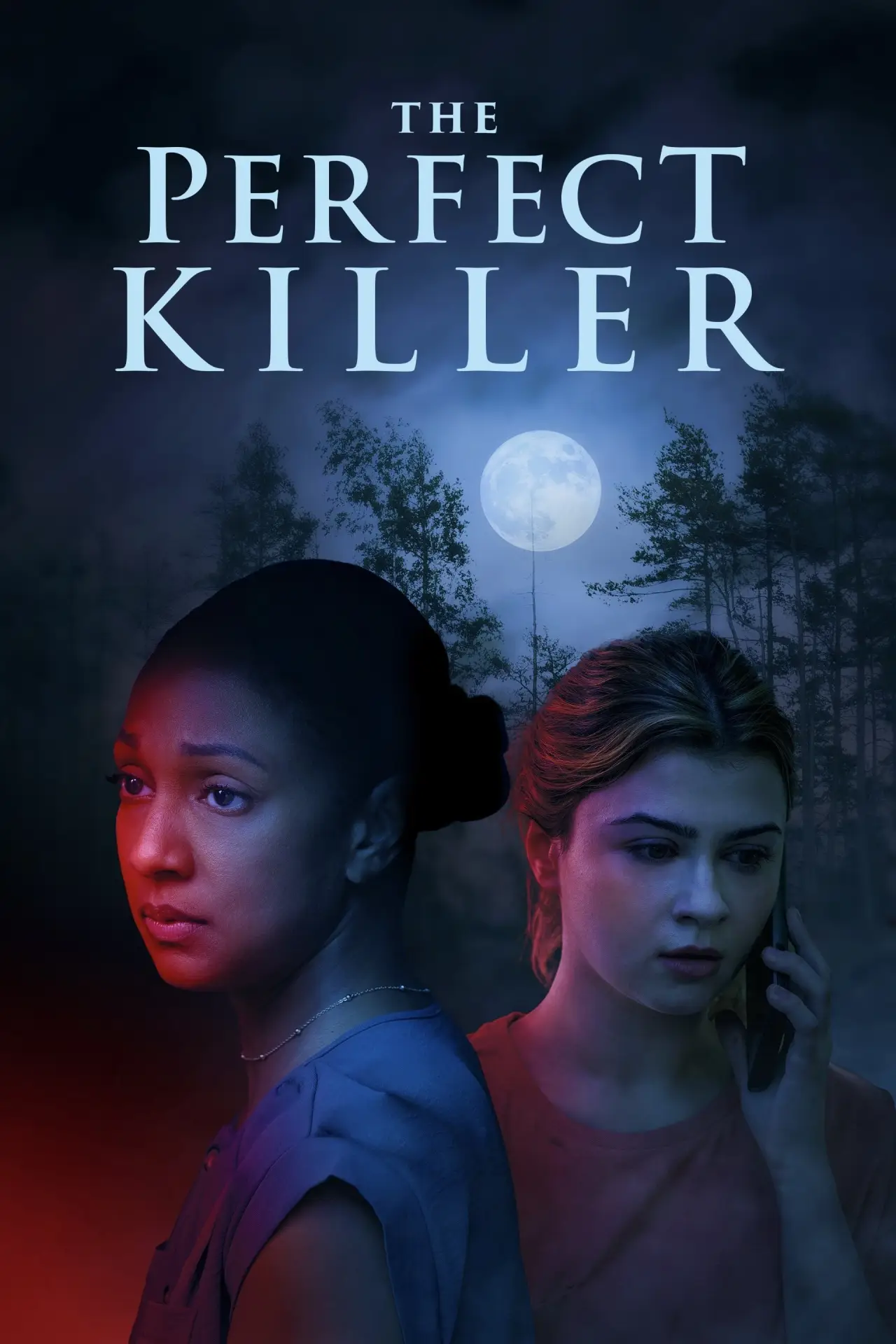 Постер к фильму "The Perfect Killer"