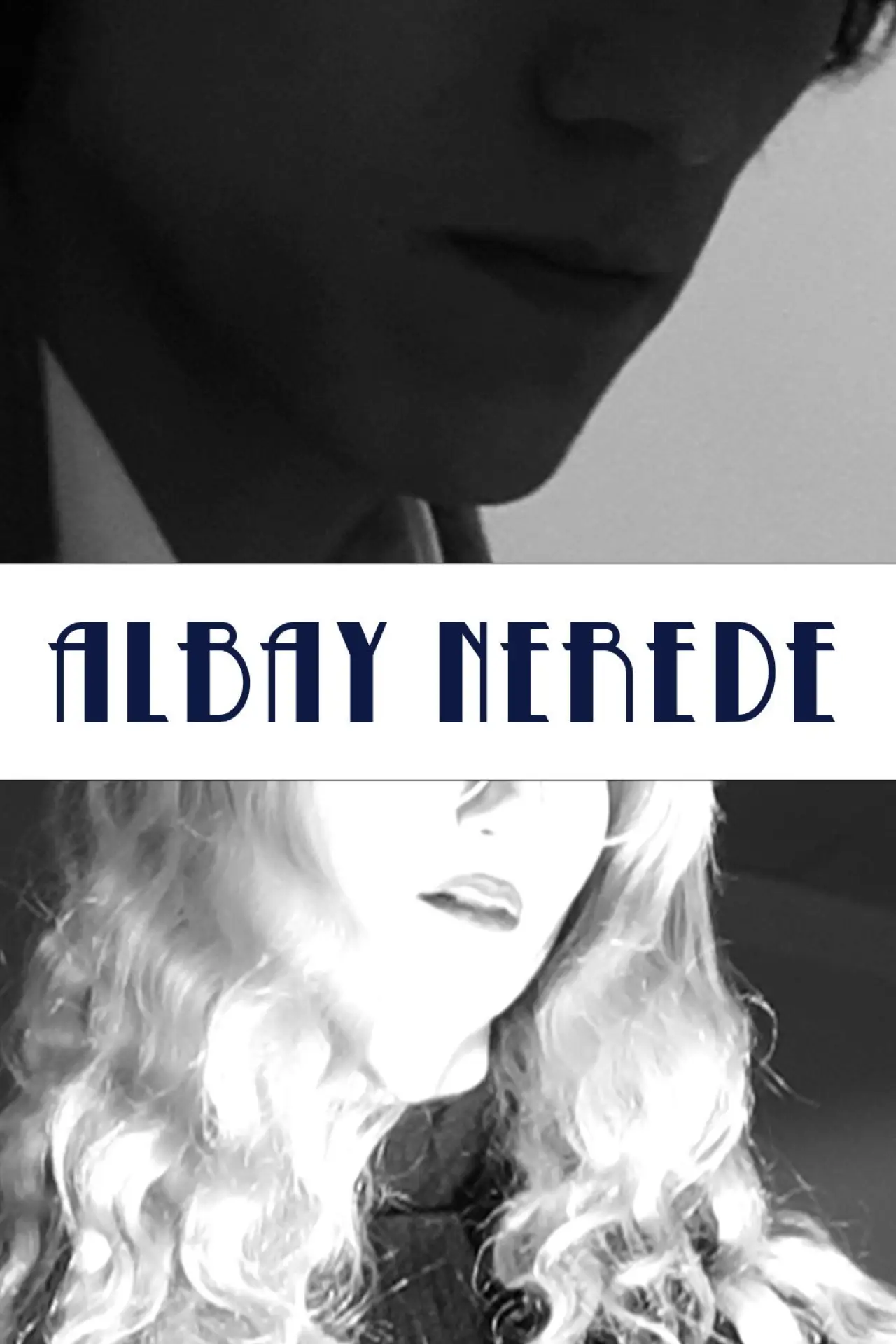 Постер к фильму "Albay Nerede"