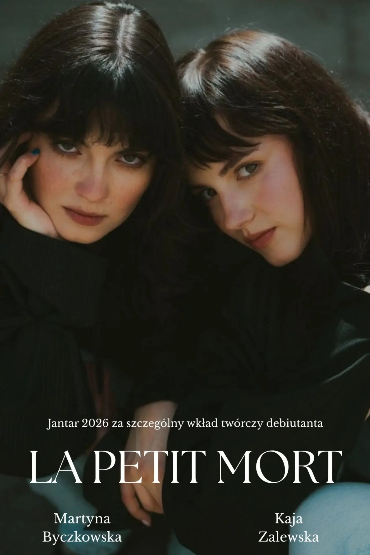 Постер к фильму "La petite mort"