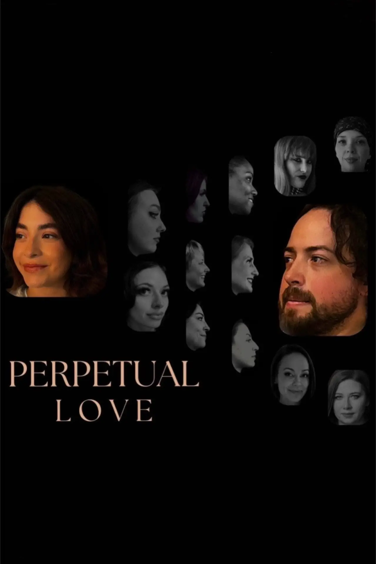 Постер к фильму "Perpetual Love"