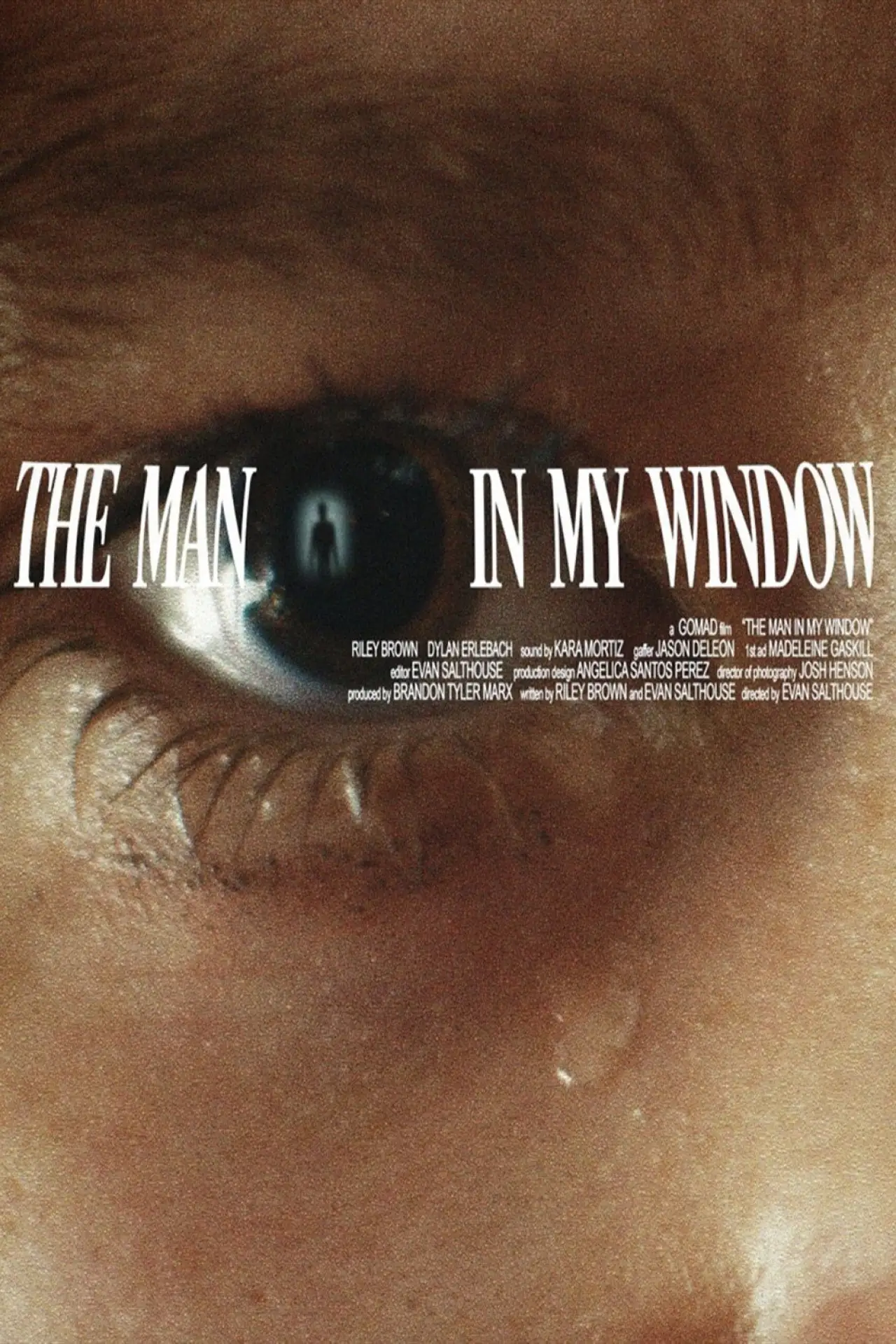 Постер к фильму "The Man In My Window"