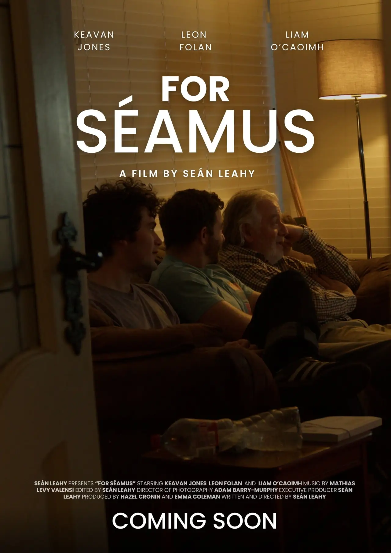 Постер к фильму "For Séamus"