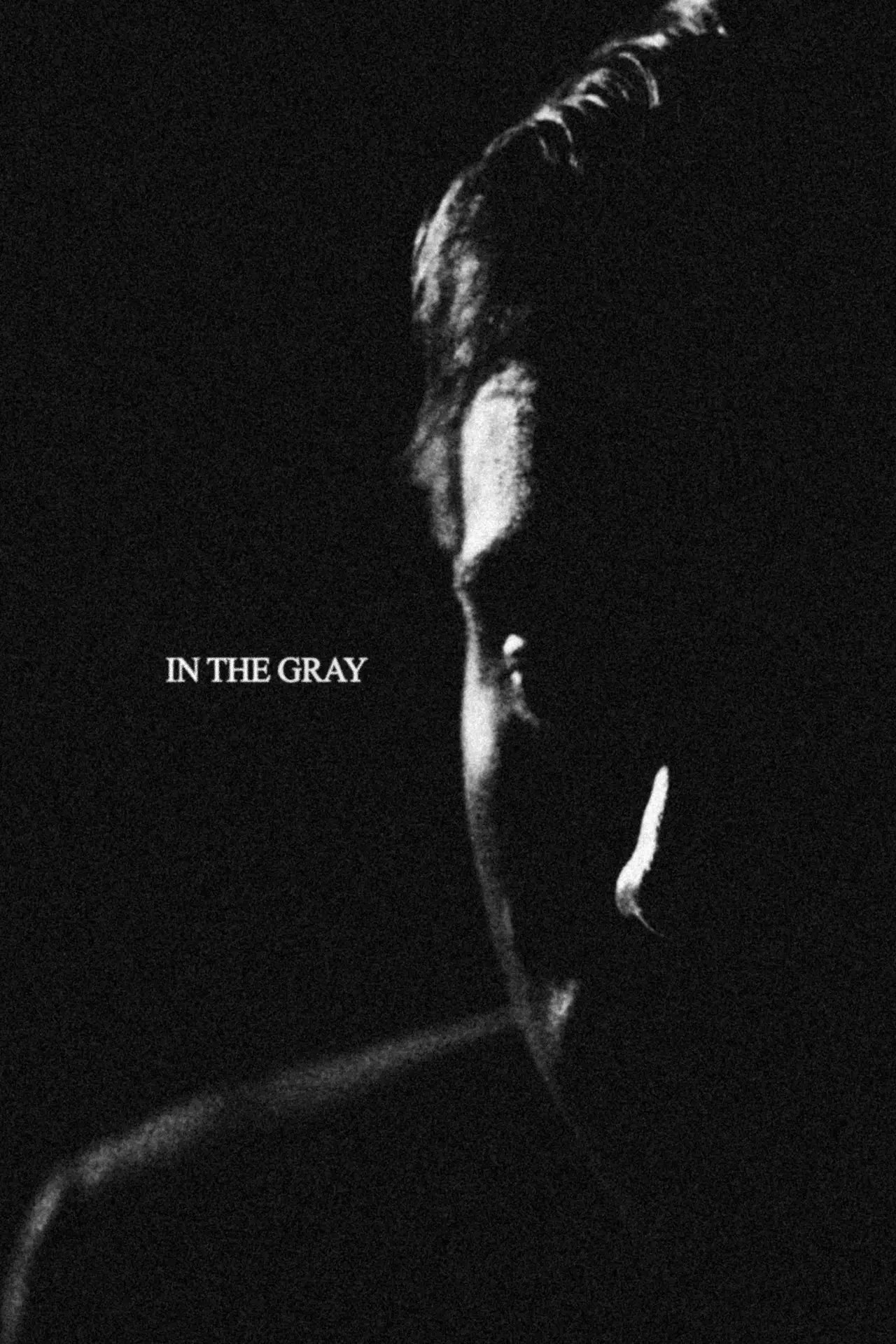 Постер к фильму "In the Gray"