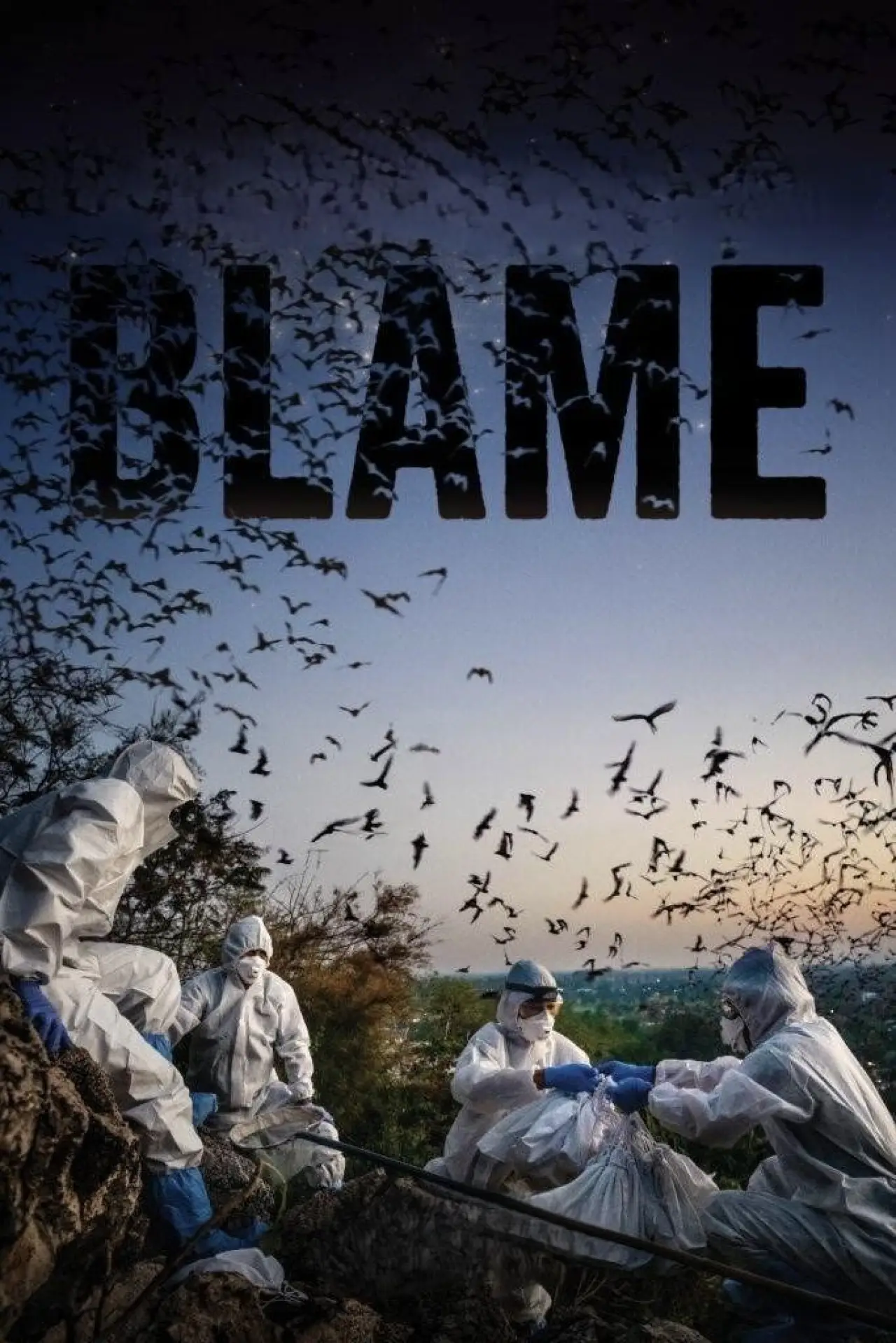 Постер к фильму "Blame"