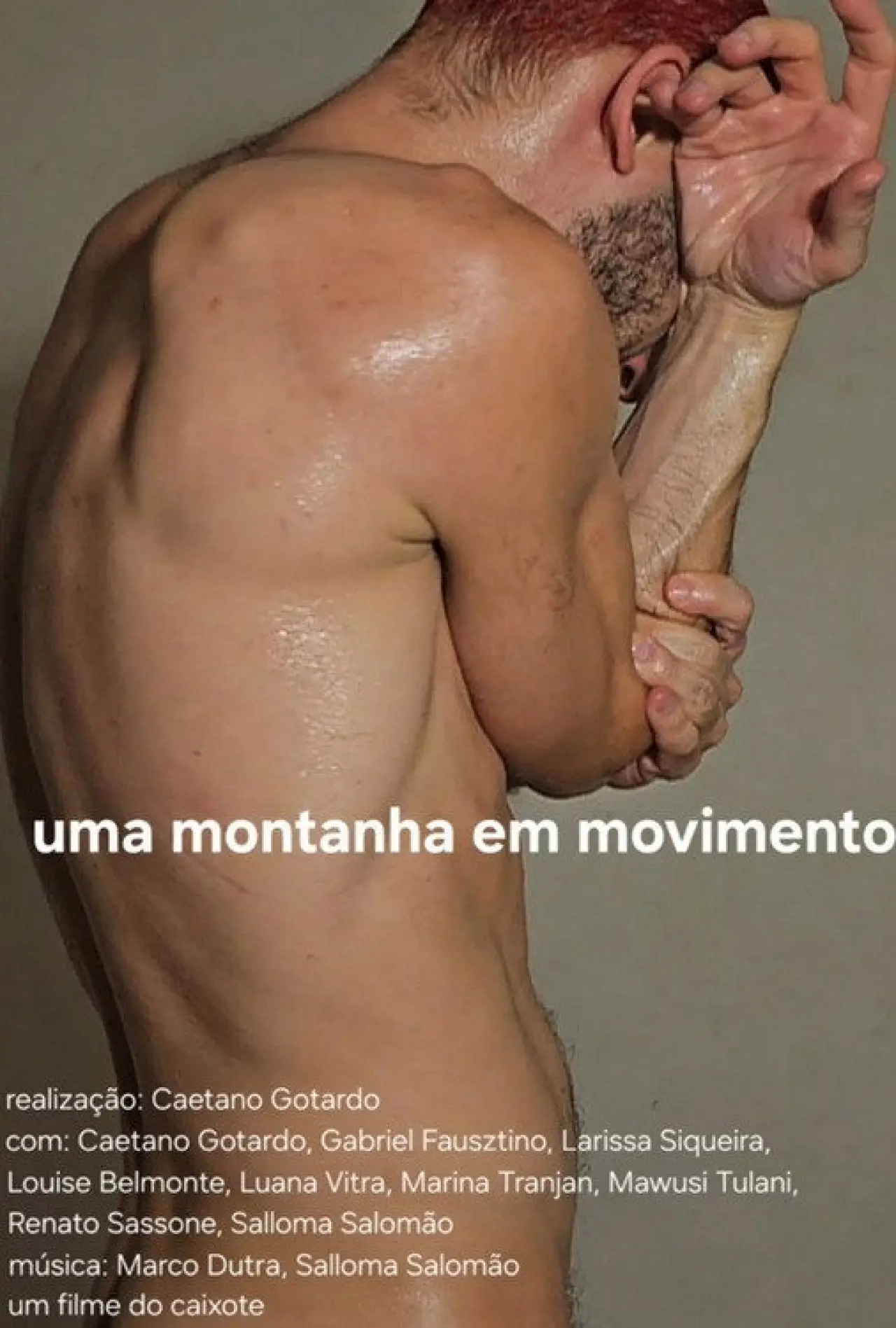 Постер к фильму "Uma Montanha em Movimento"