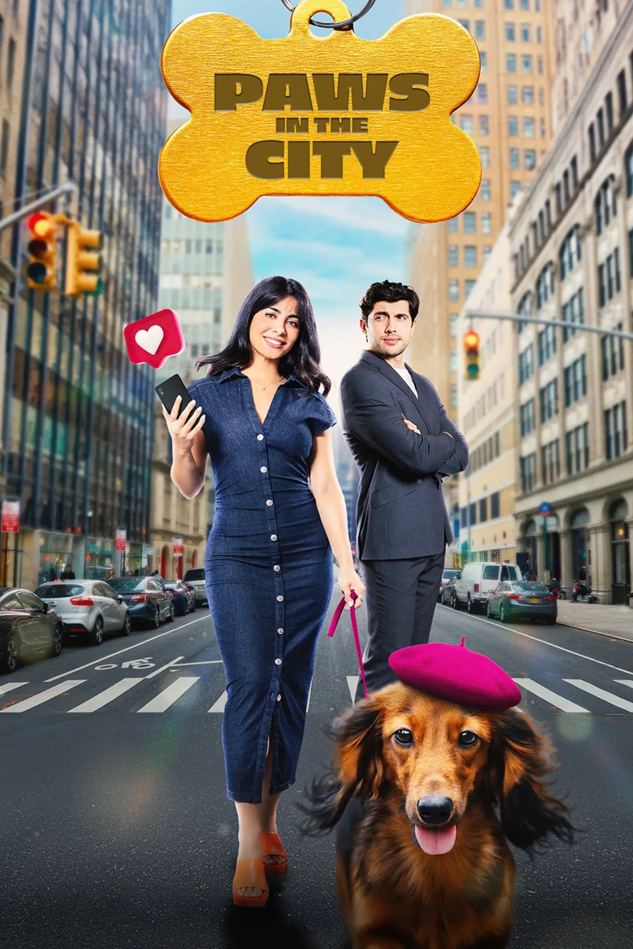 Постер к фильму "Paws in the City"
