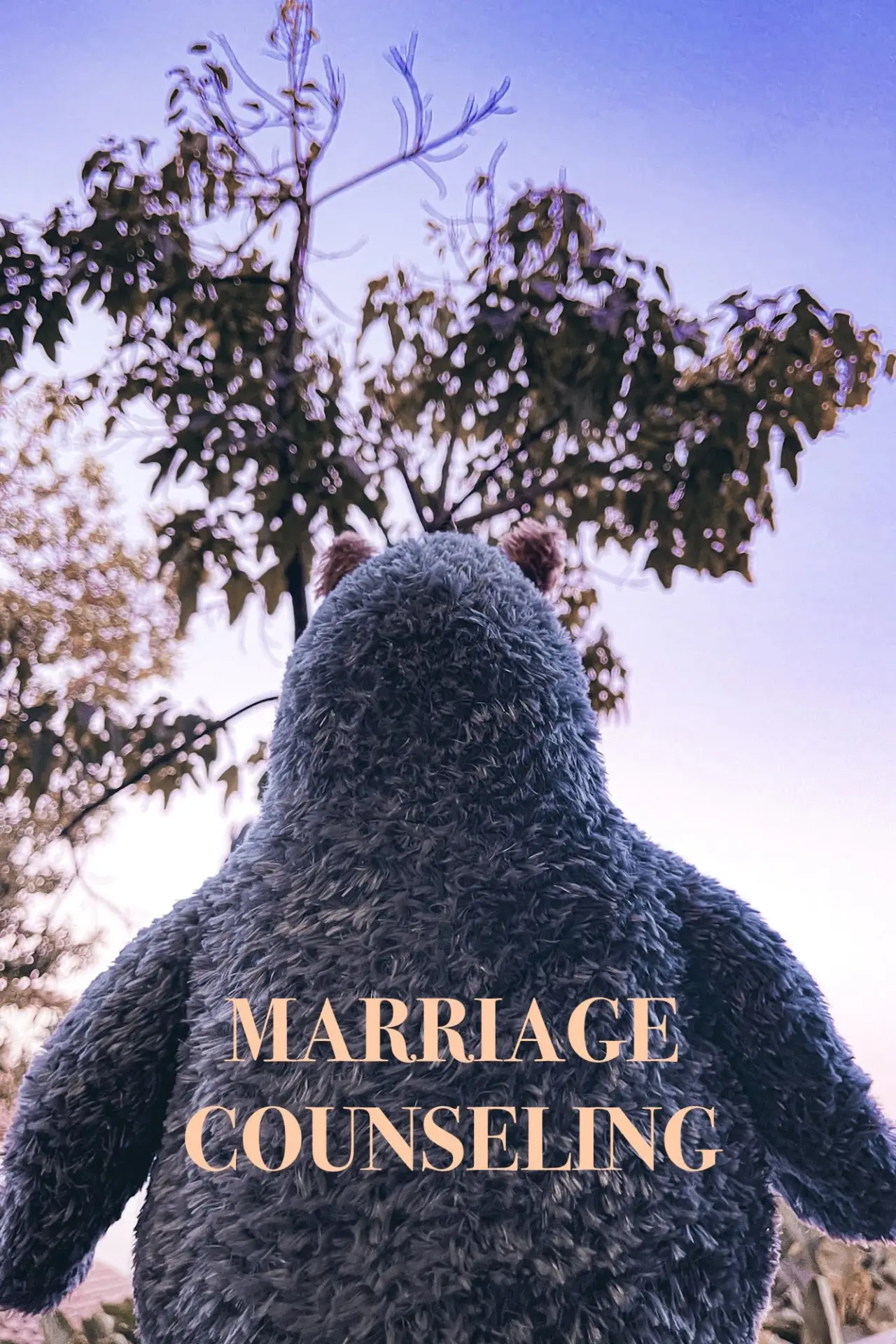 Постер к фильму "Marriage Counseling"