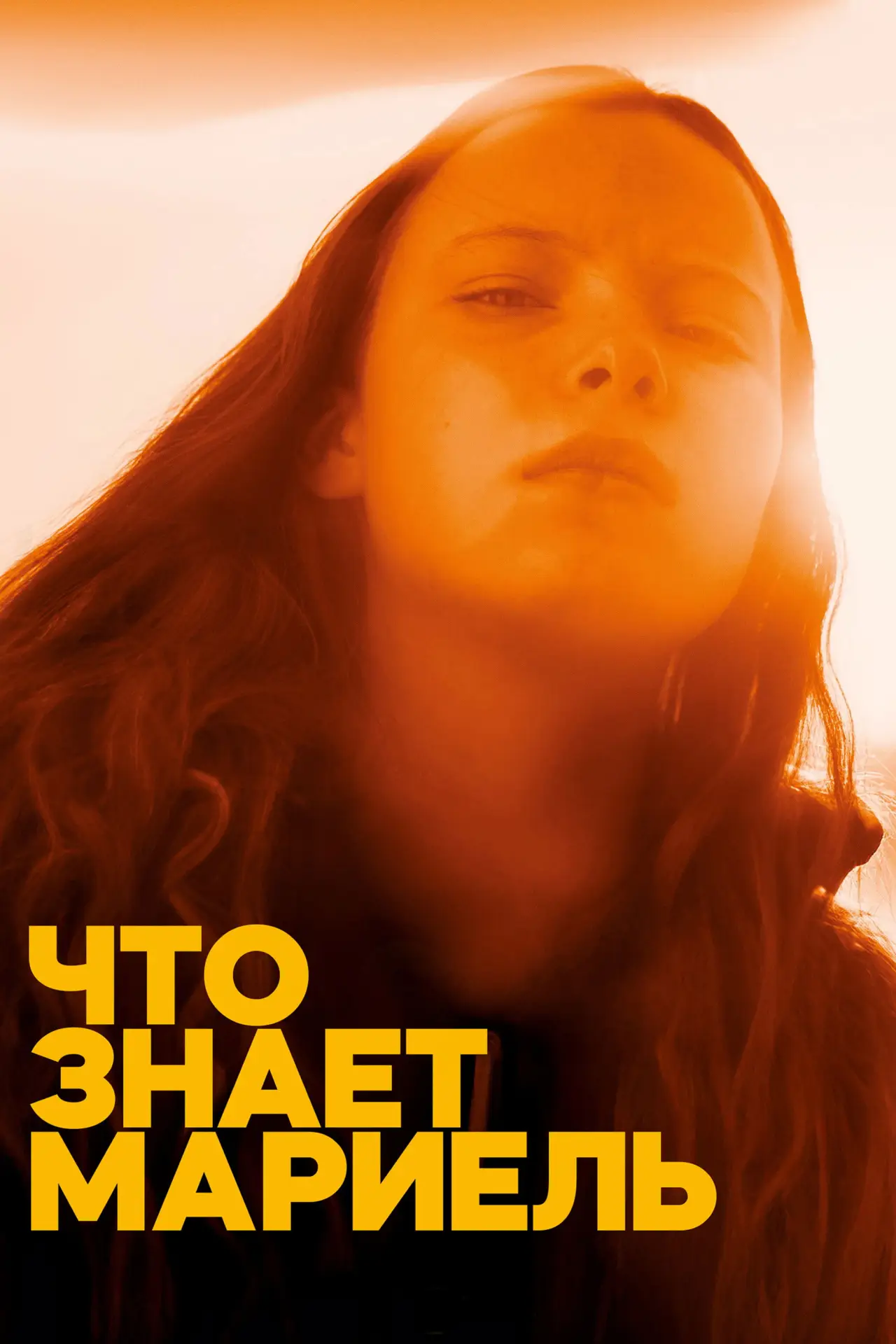 Постер к фильму "Что знает Мариэль"