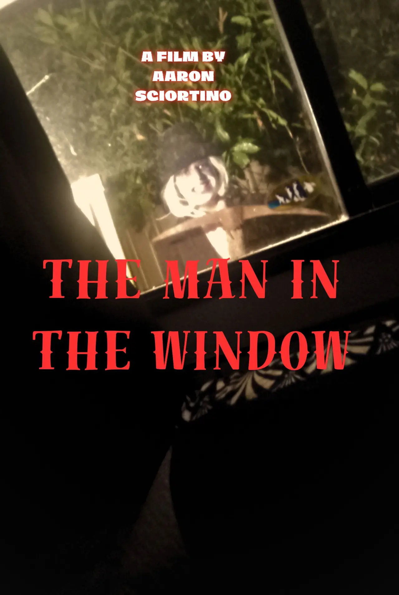 Постер к фильму "The man in the window"