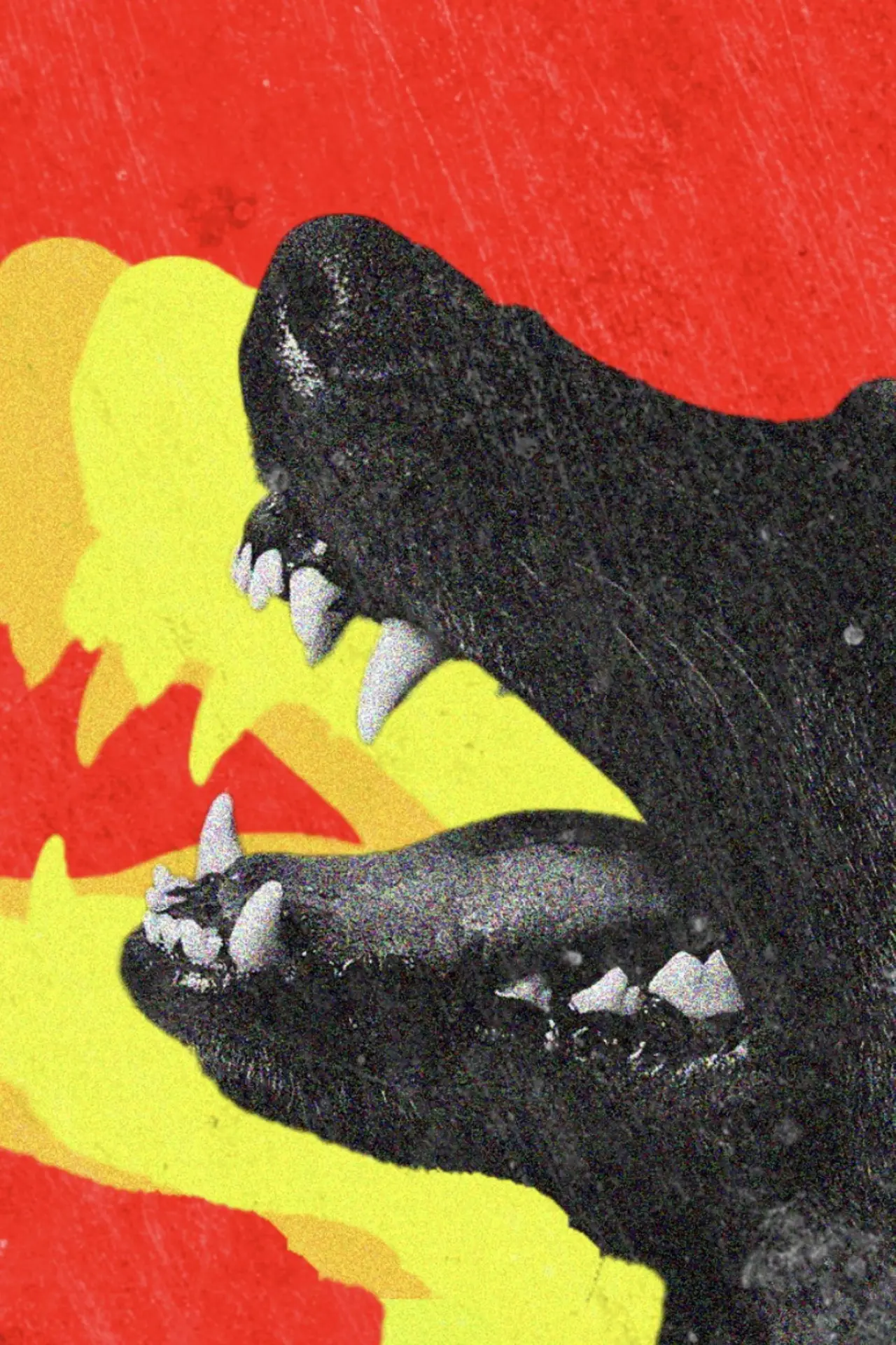 Постер к фильму "DOGTOOTH"