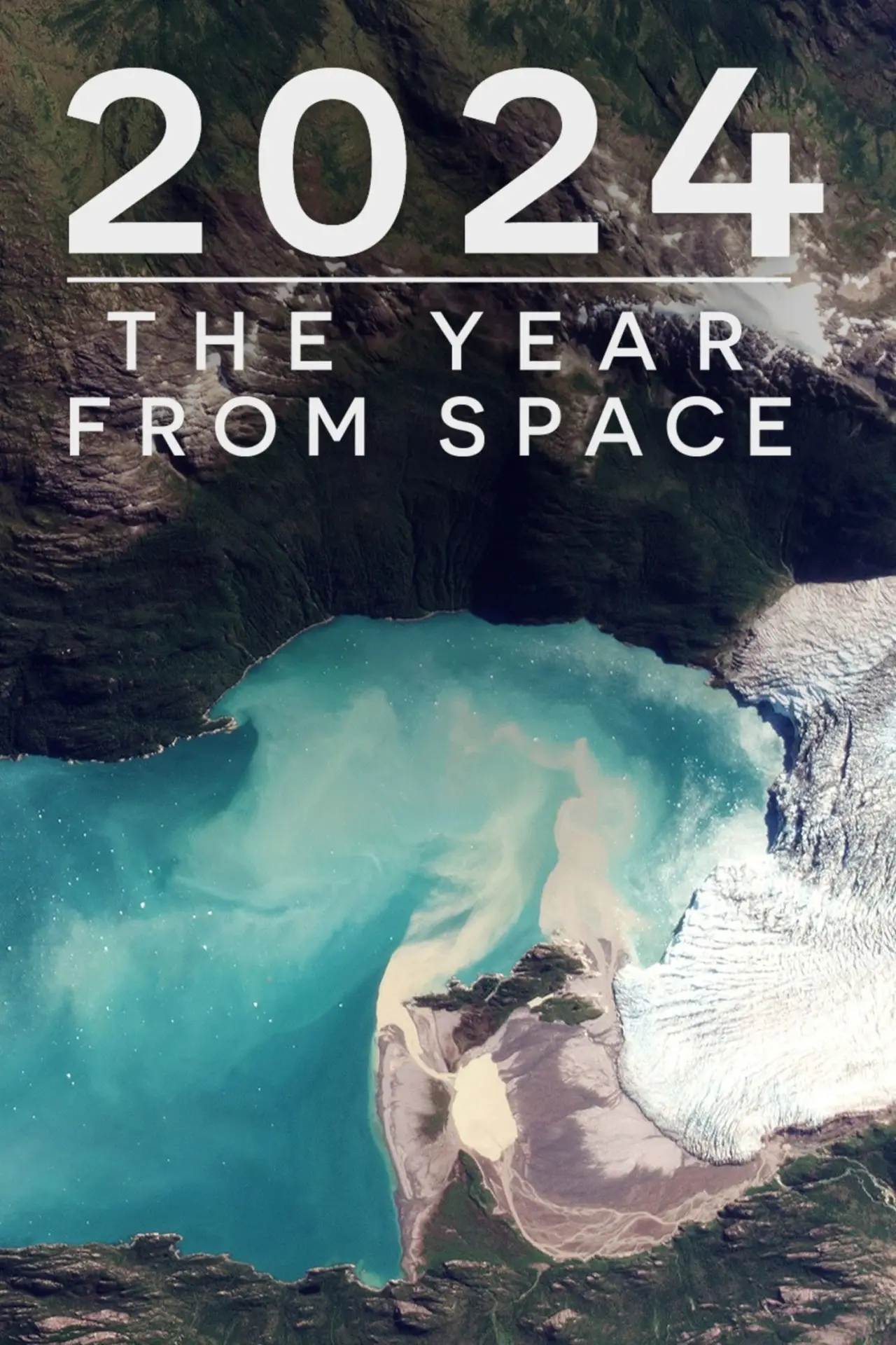Постер к фильму "2024: The Year From Space"