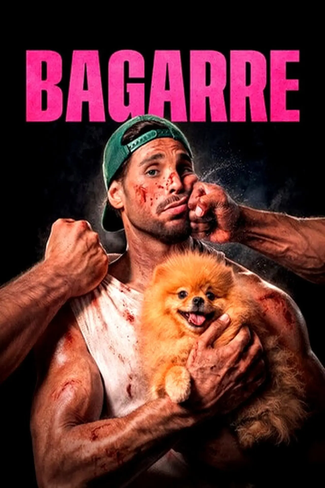 Постер к фильму "Bagarre"