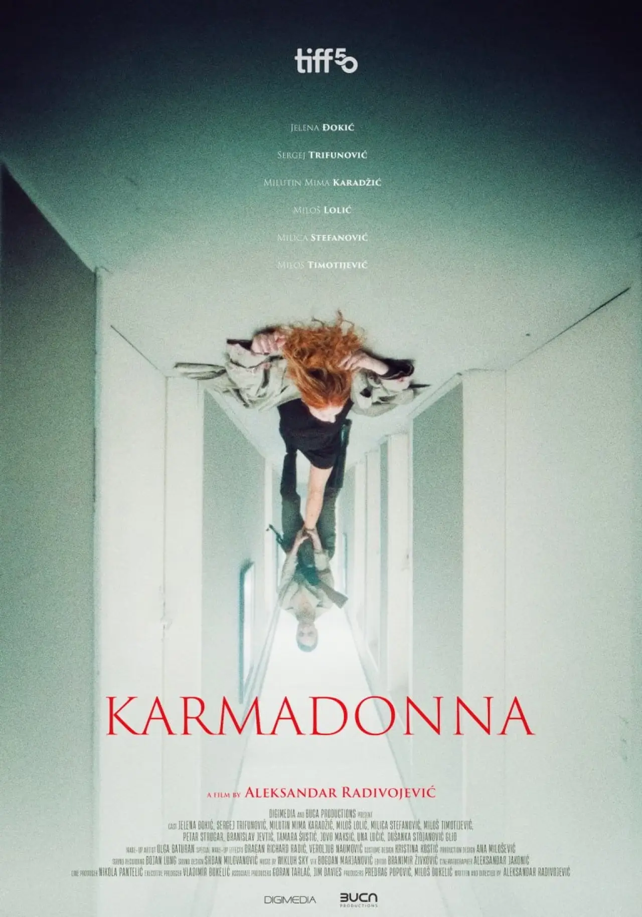 Постер к фильму "Karmadona"