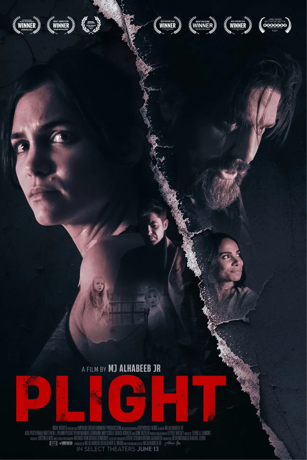 Постер к фильму "Plight"