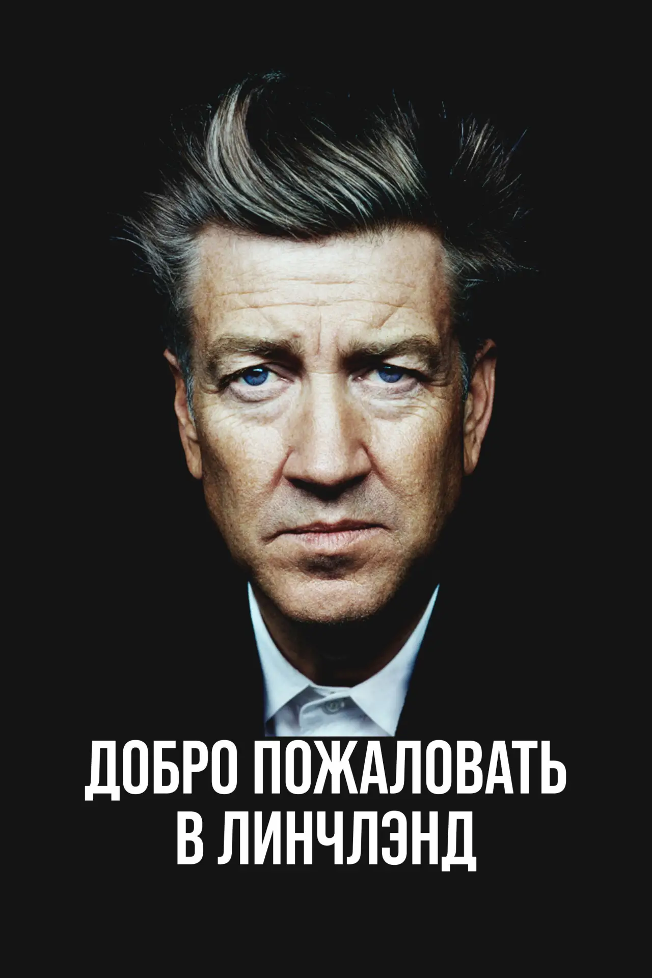 Постер к фильму "Добро пожаловать в Линчлэнд"
