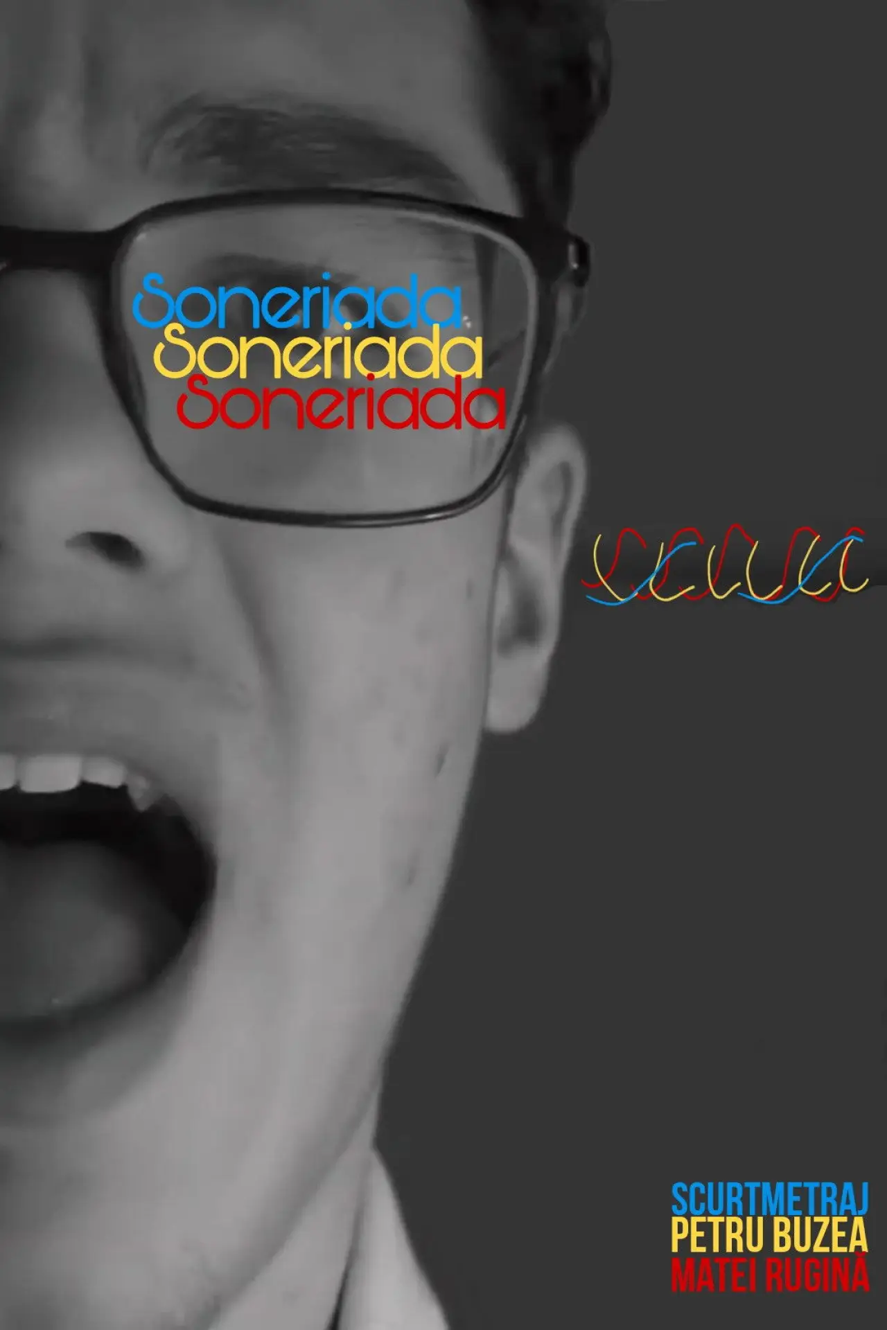 Постер к фильму "Soneriada"