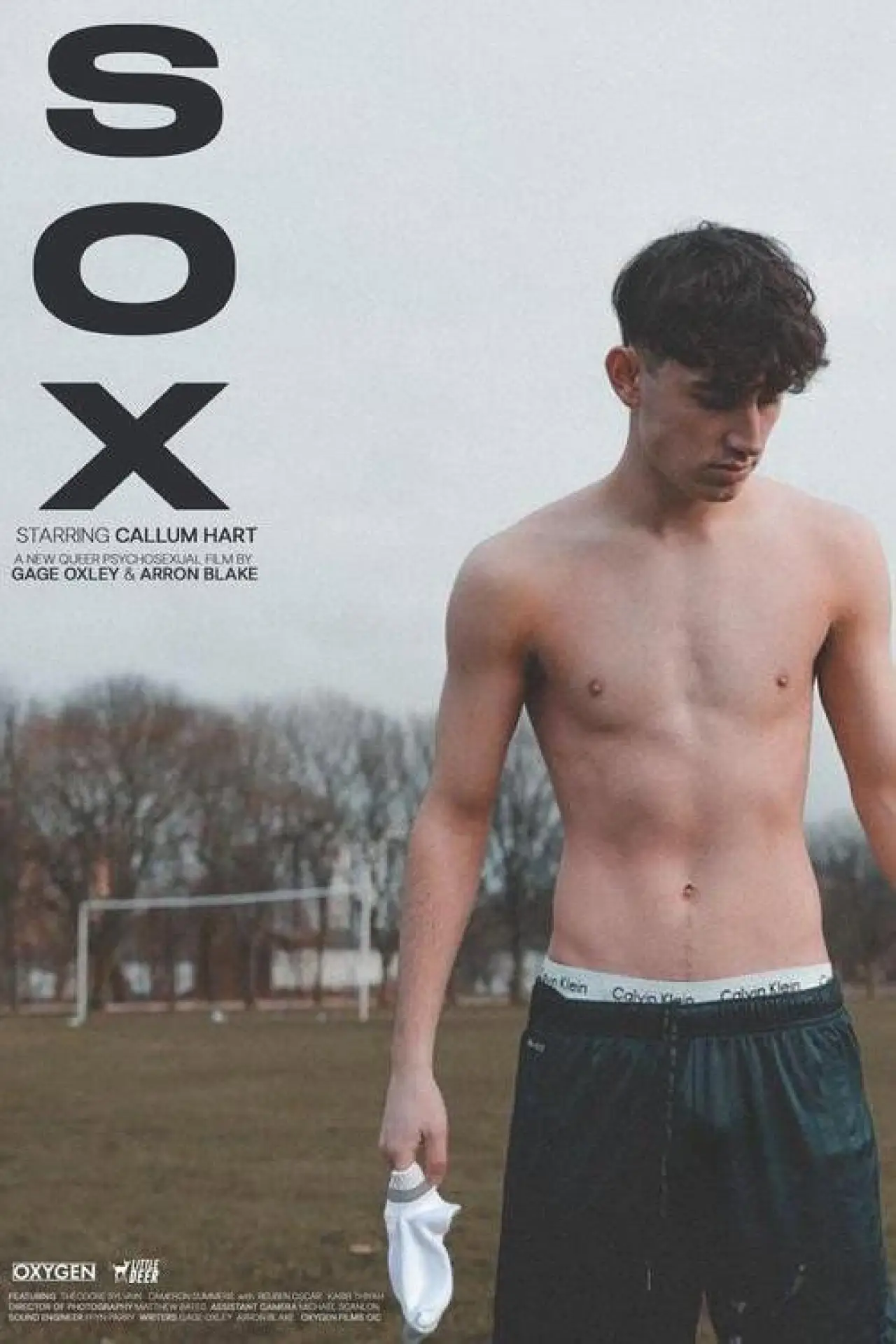 Постер к фильму "Sox"