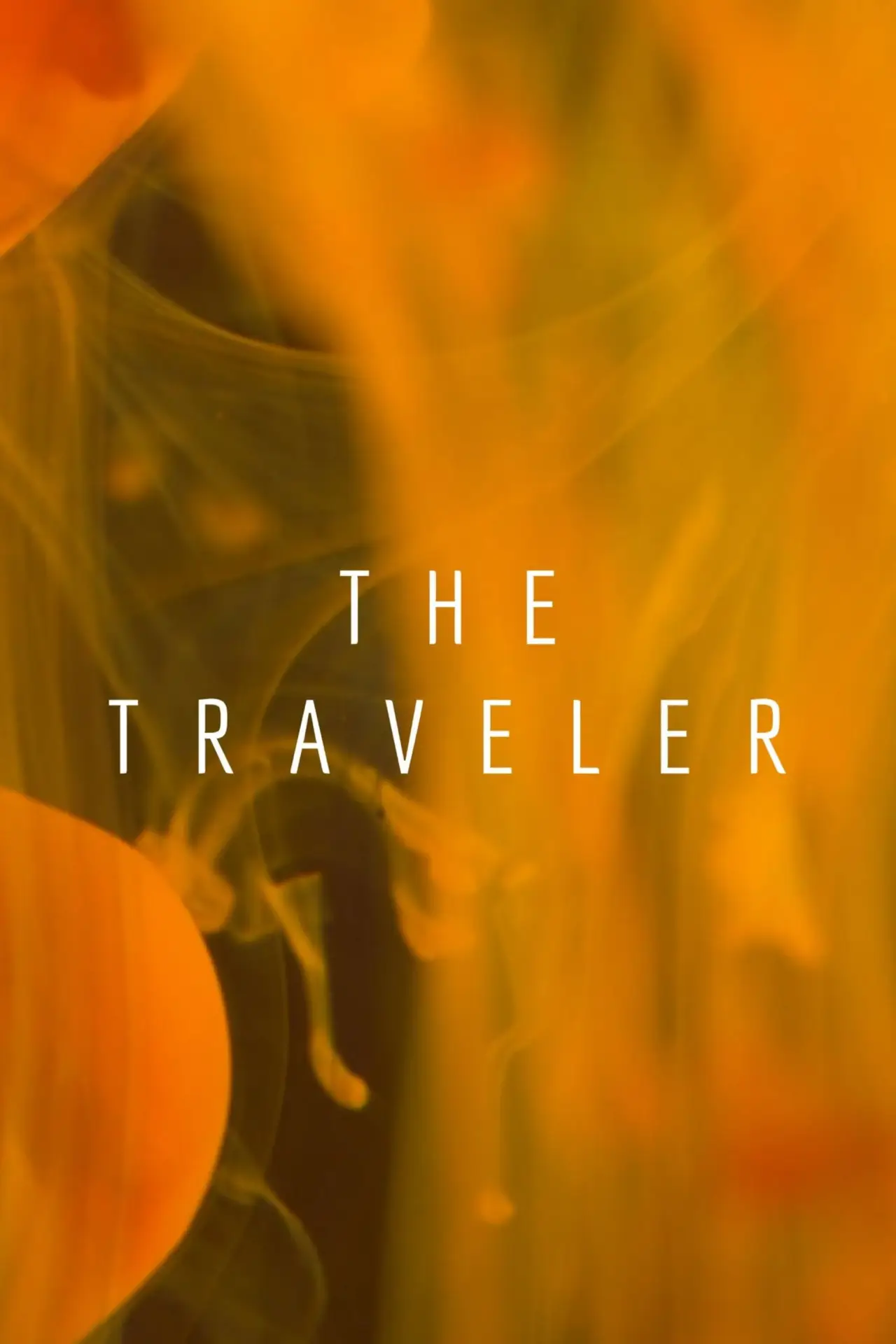 Постер к фильму "The Traveler"