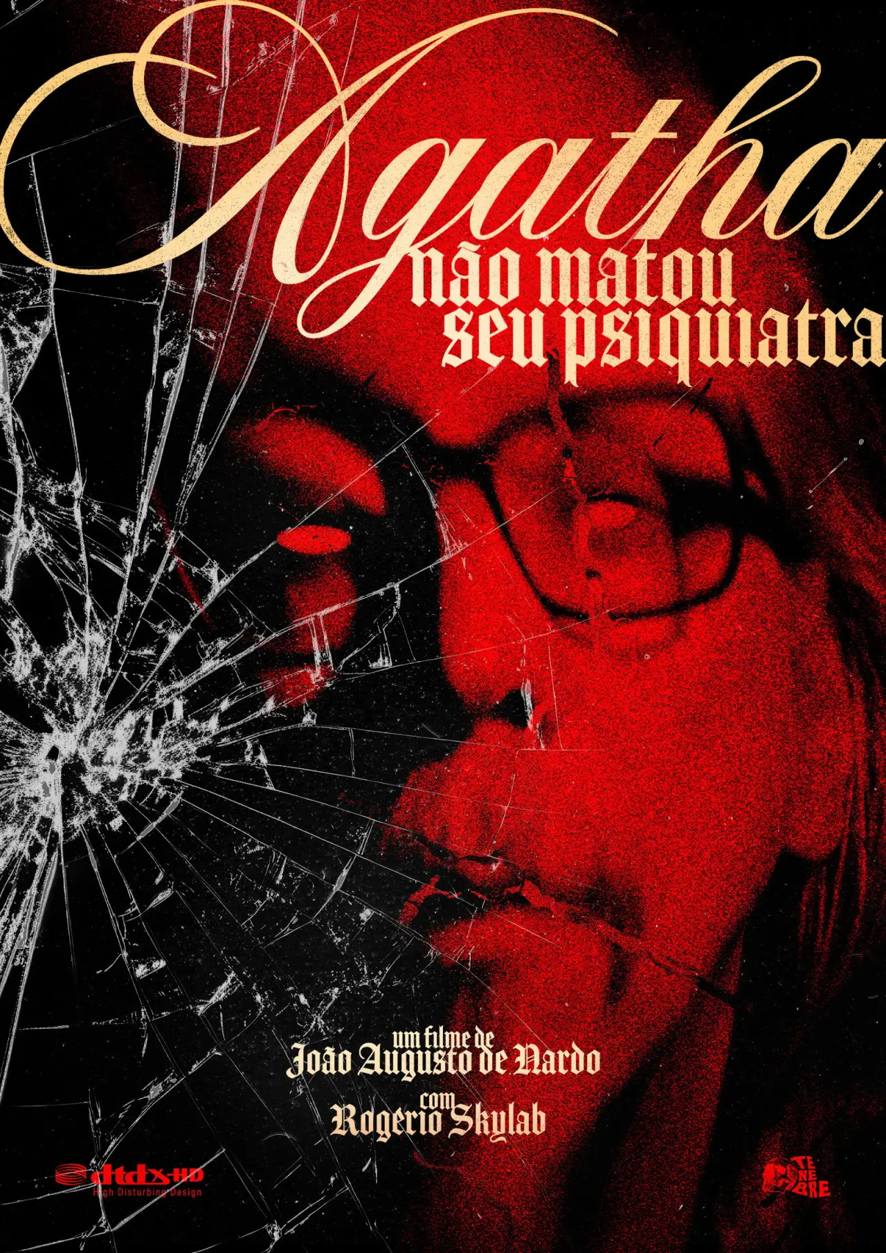 Постер к фильму "Ágatha Não Matou Seu Psiquiatra"