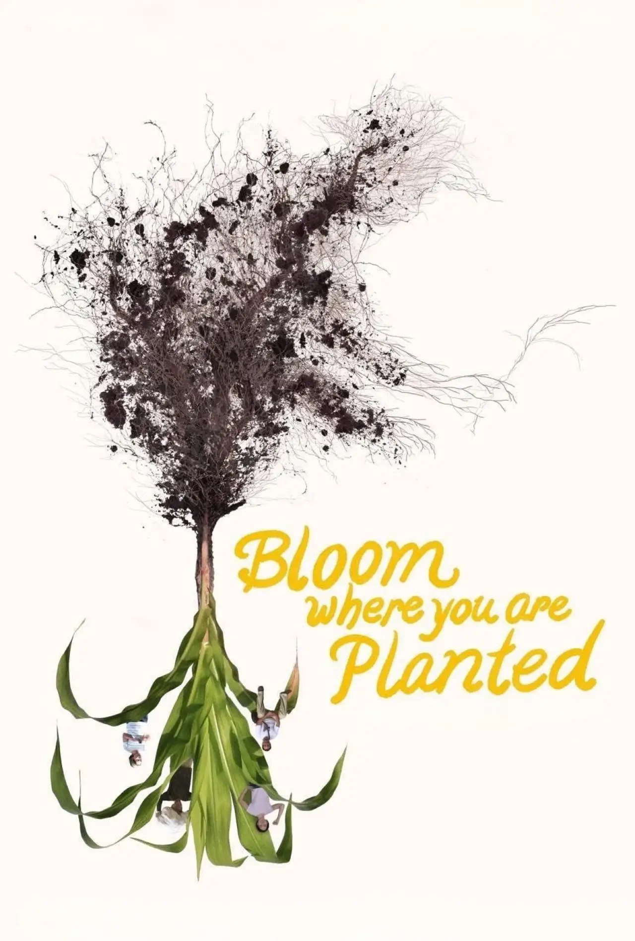 Постер к фильму "Bloom Where You Are Planted"