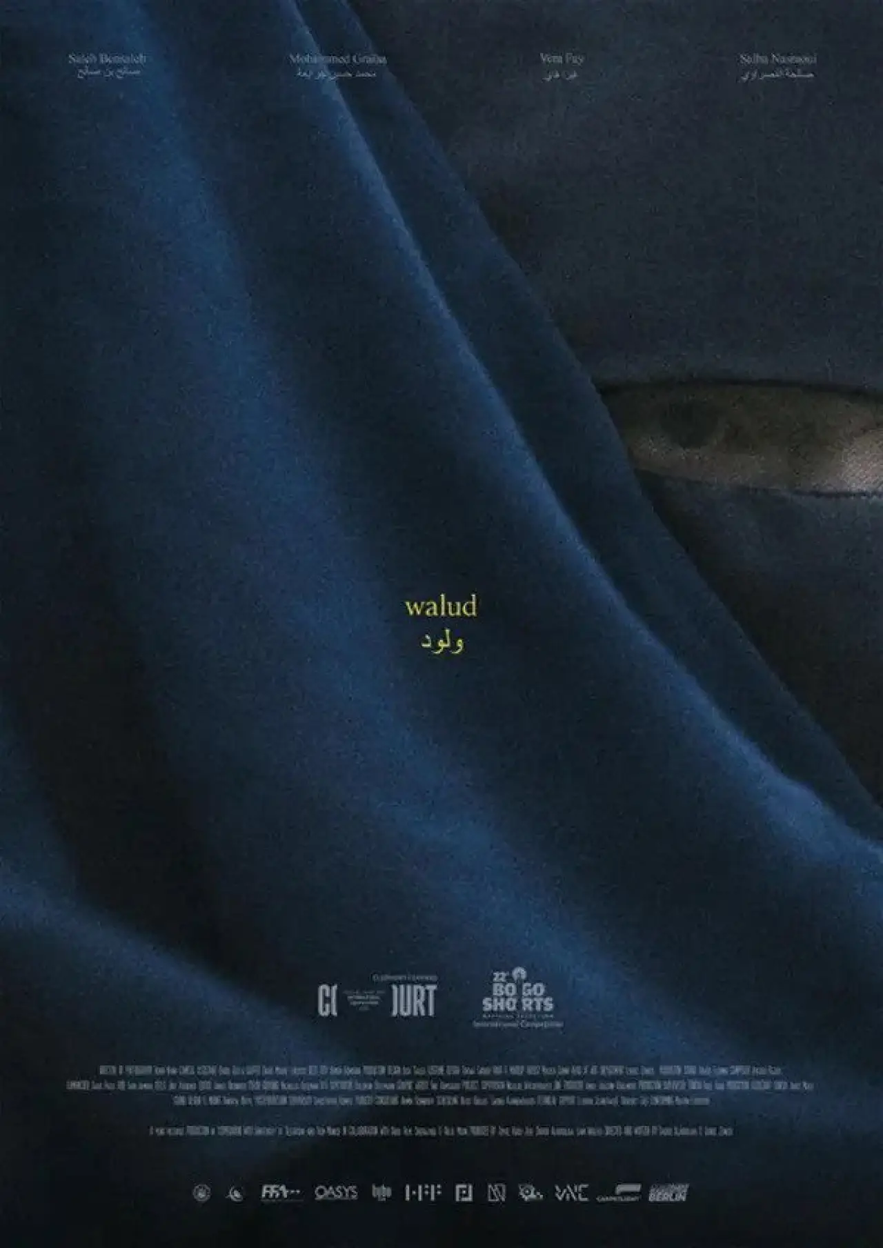 Постер к фильму "Walud"