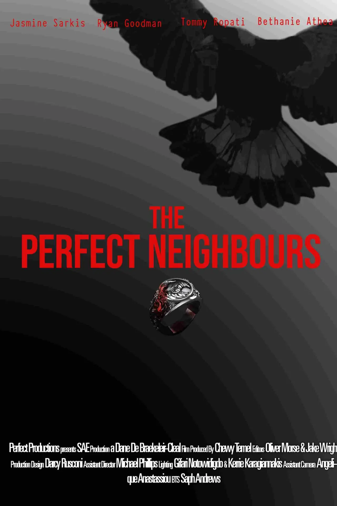 Постер к фильму "The Perfect Neighbours"