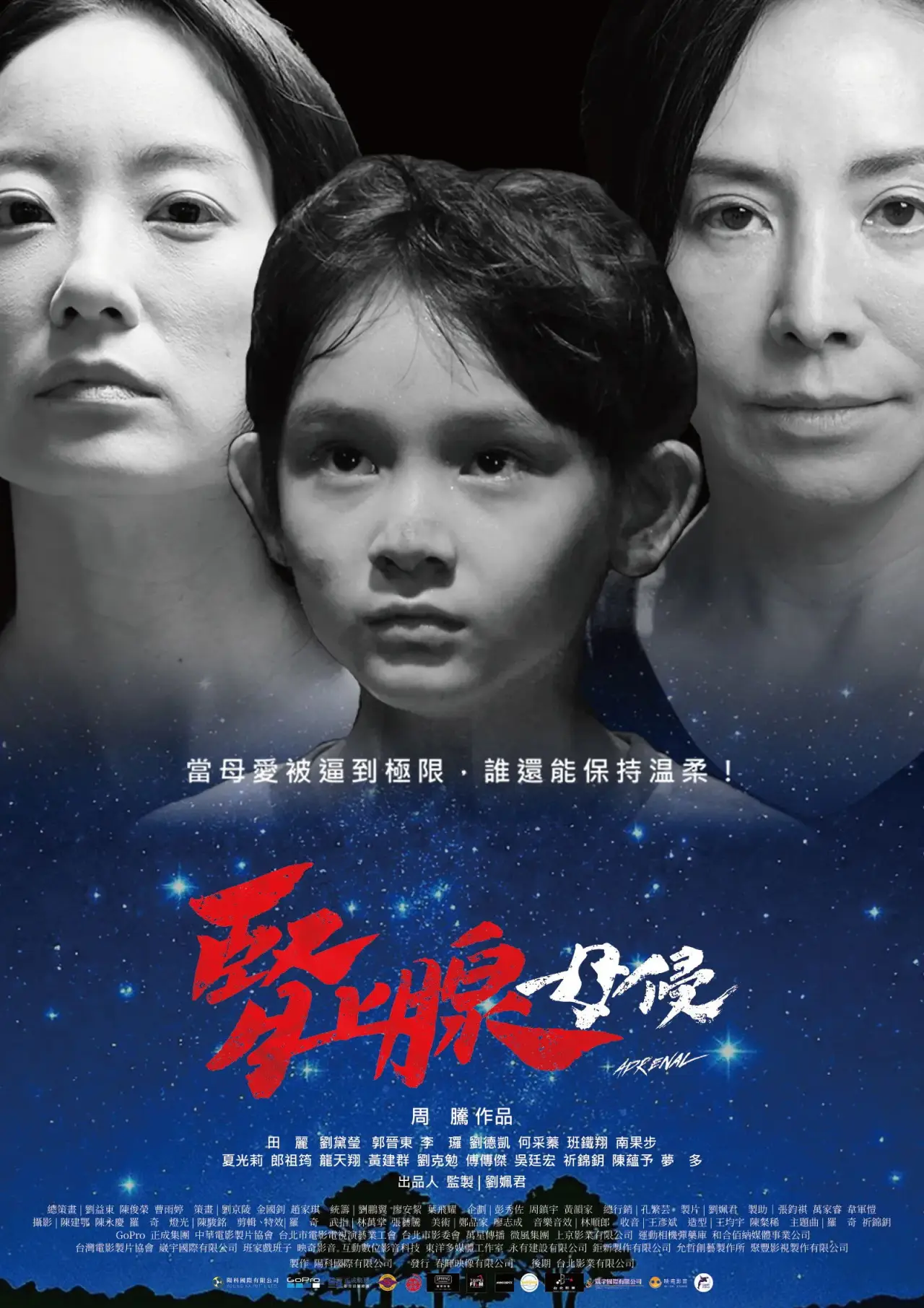 Постер к фильму "腎上腺-母侵"