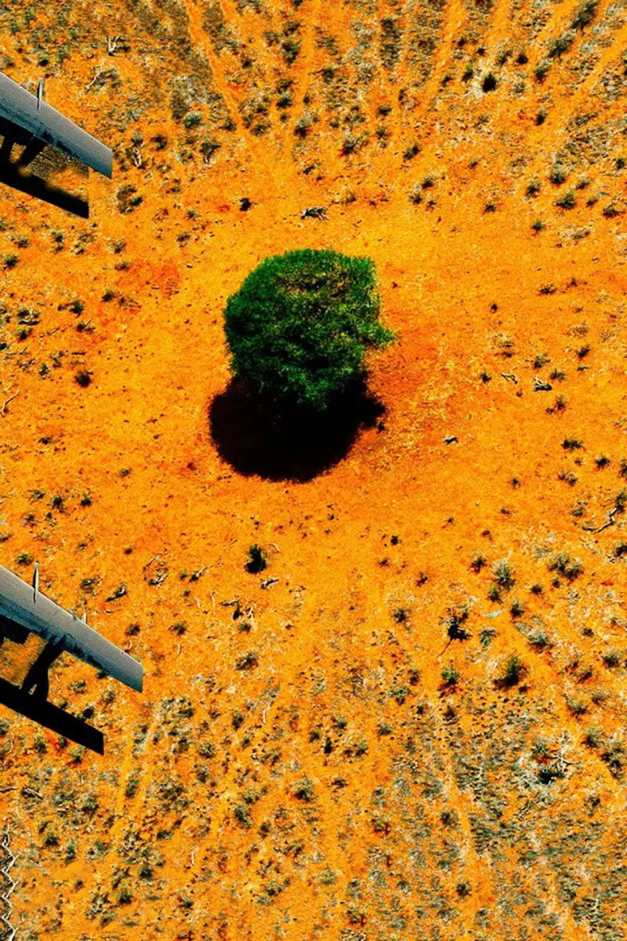 Постер к фильму "Nature : pour une réconciliation"