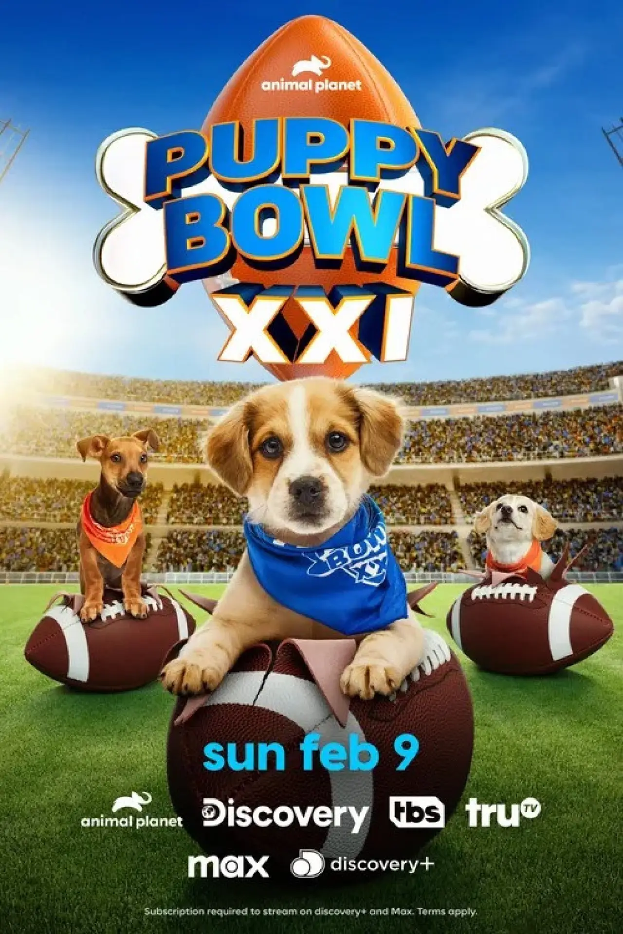 Постер к фильму "Puppy Bowl XXI"