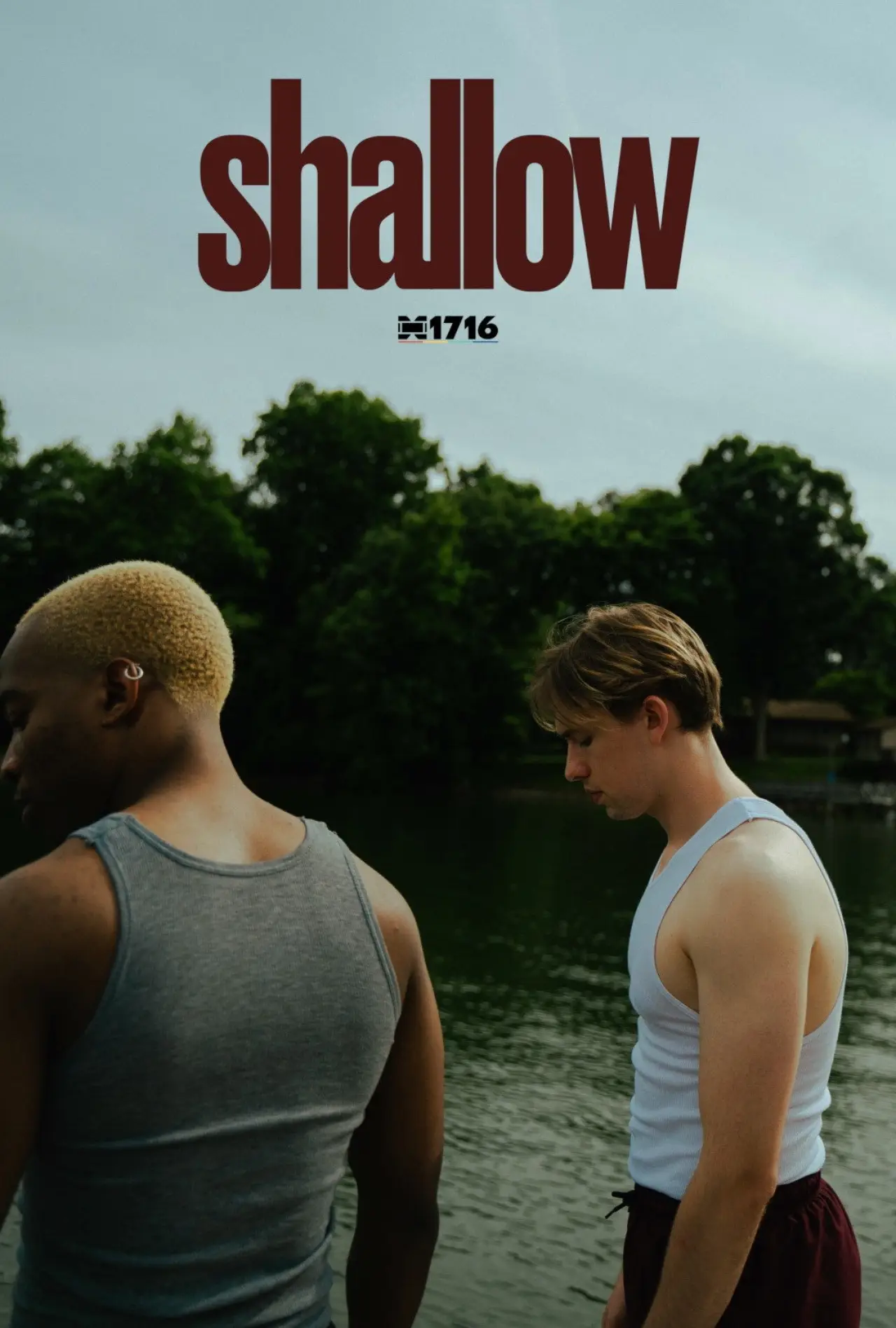 Постер к фильму "Shallow"