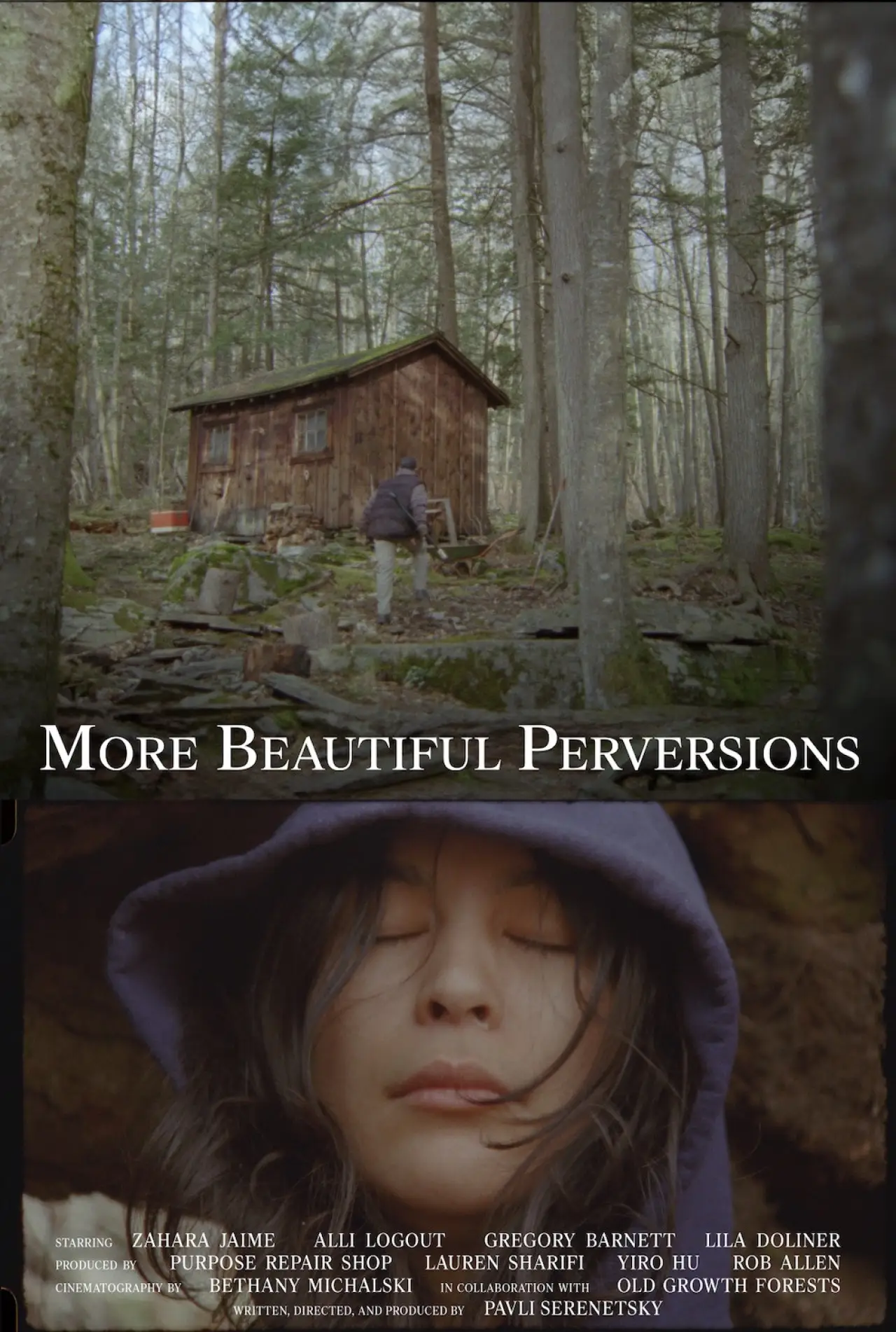 Постер к фильму "More Beautiful Perversions"