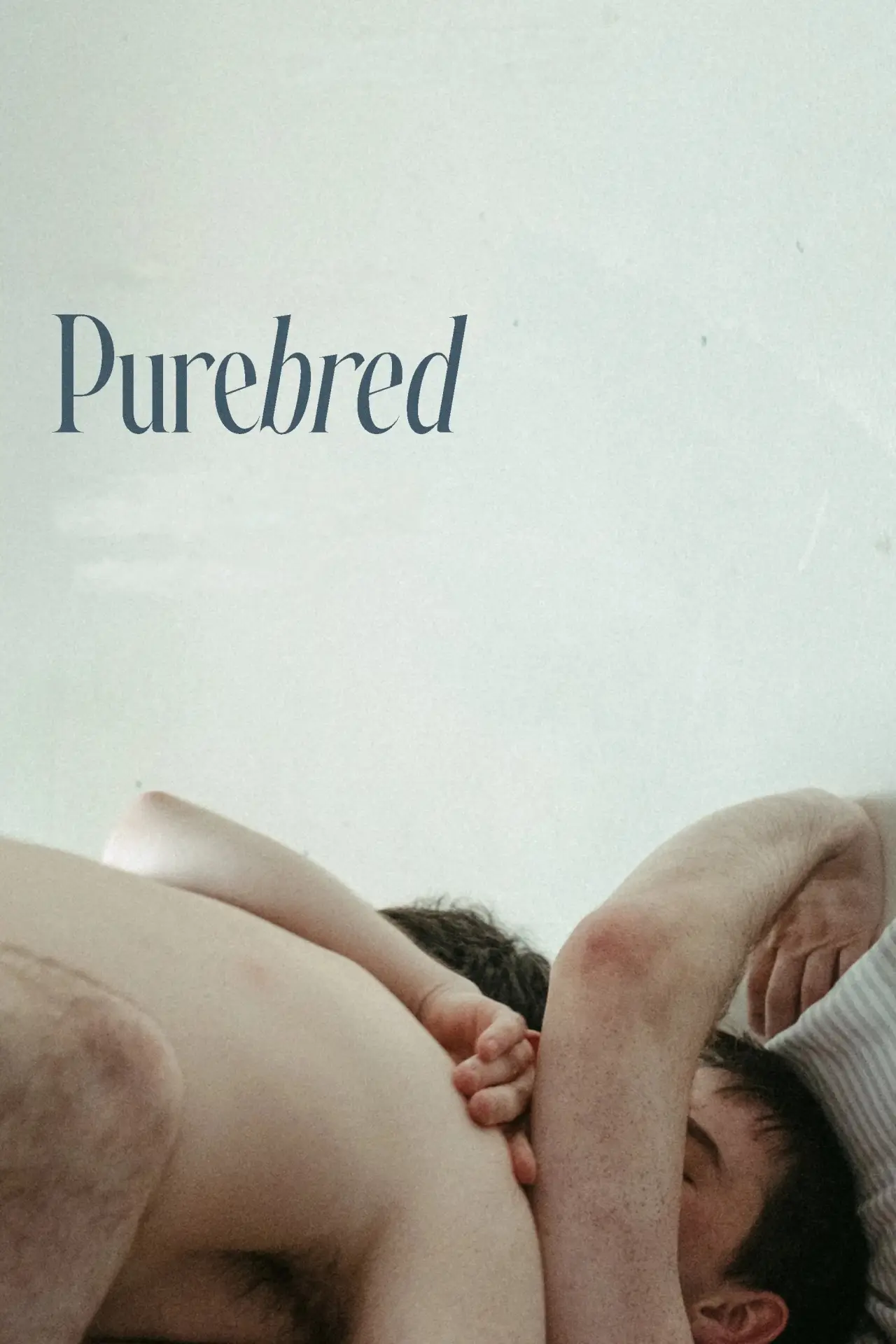 Постер к фильму "Purebred"