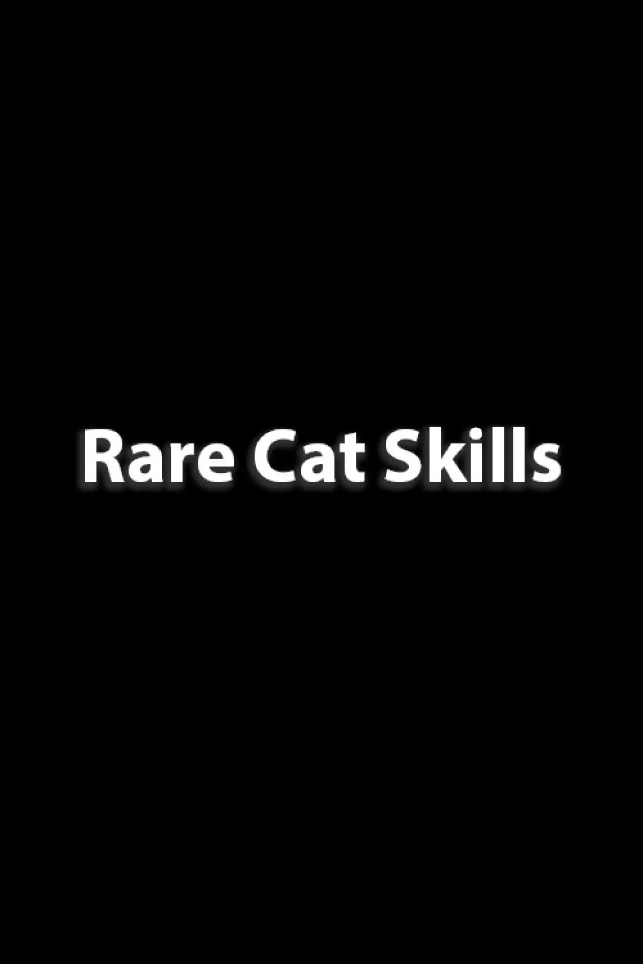 Постер к фильму "Rare Cat Skills"