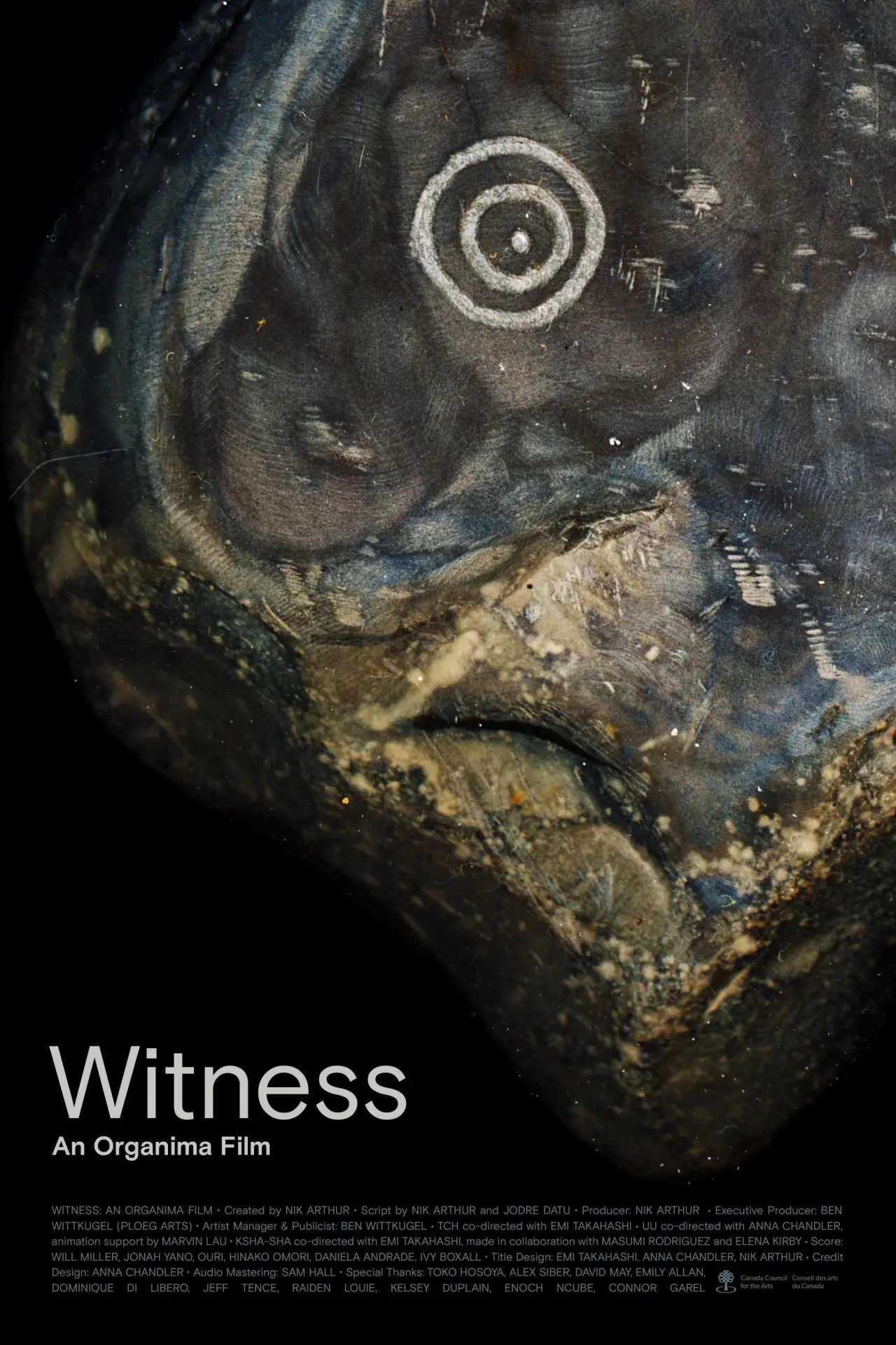 Постер к фильму "Witness: An Organima Film"
