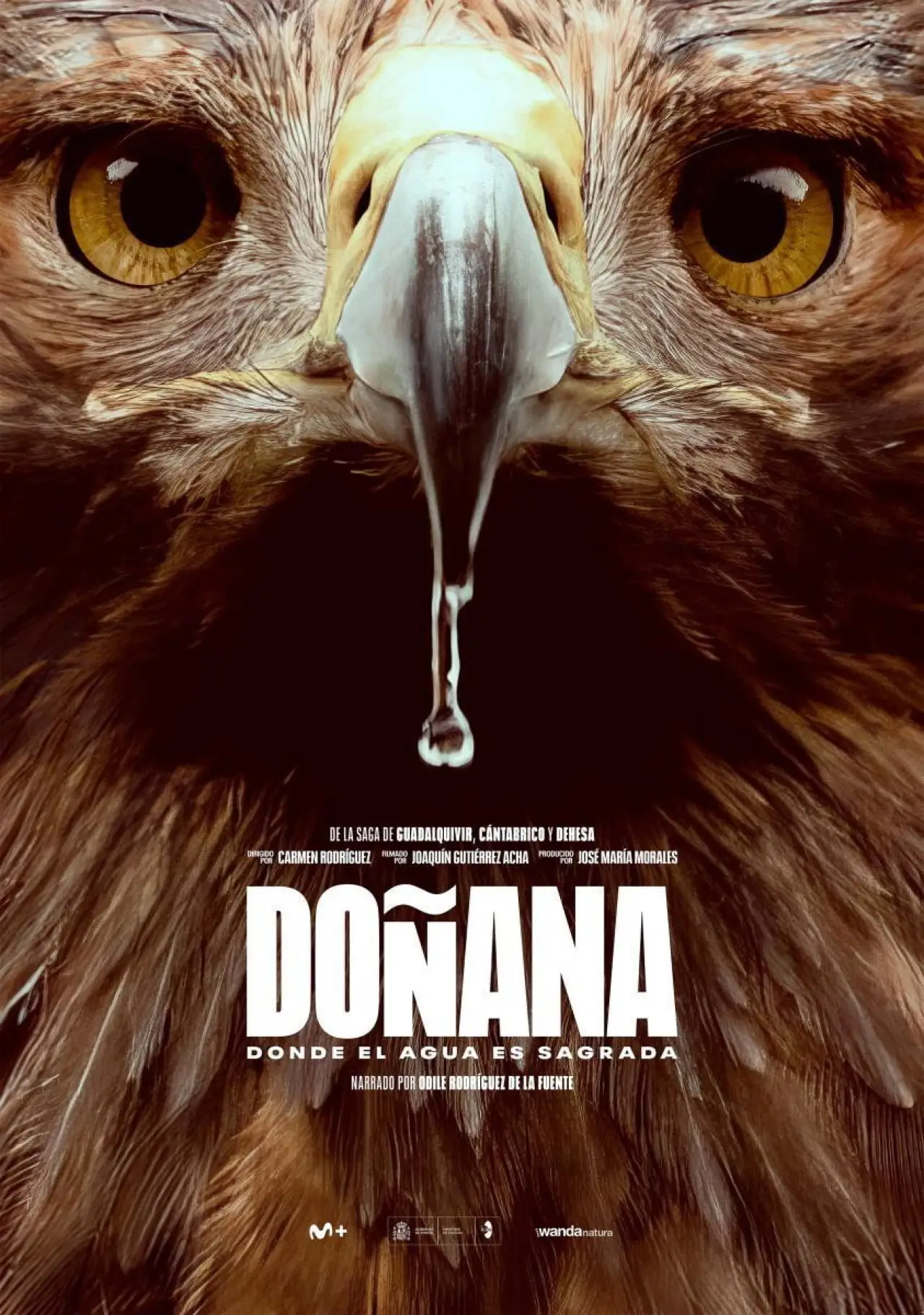 Постер к фильму "Doñana"