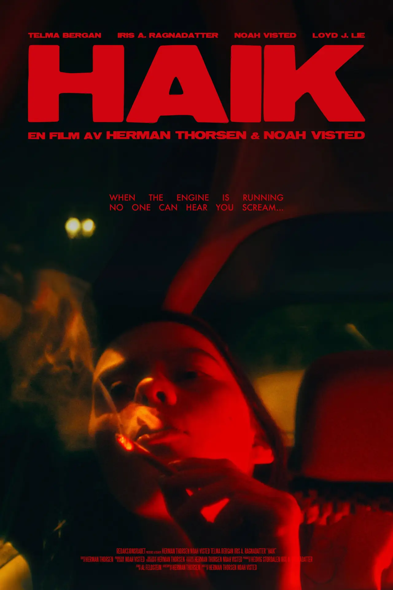 Постер к фильму "Haik"